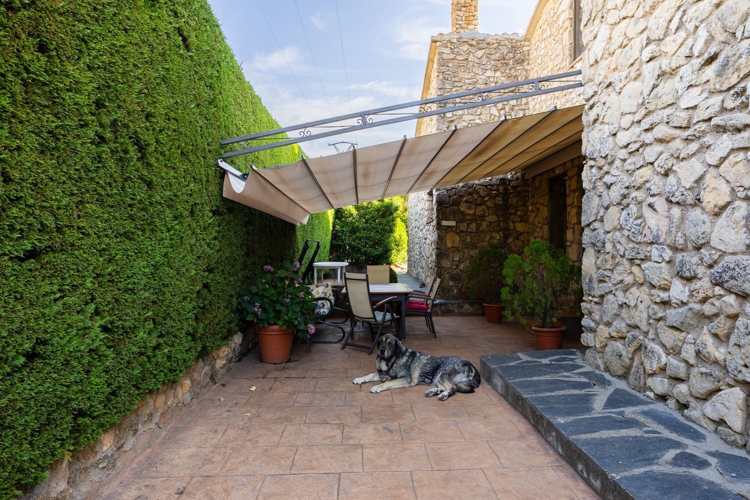 Casas o chalets-Venta-Torrecaballeros-1834097-Foto-86