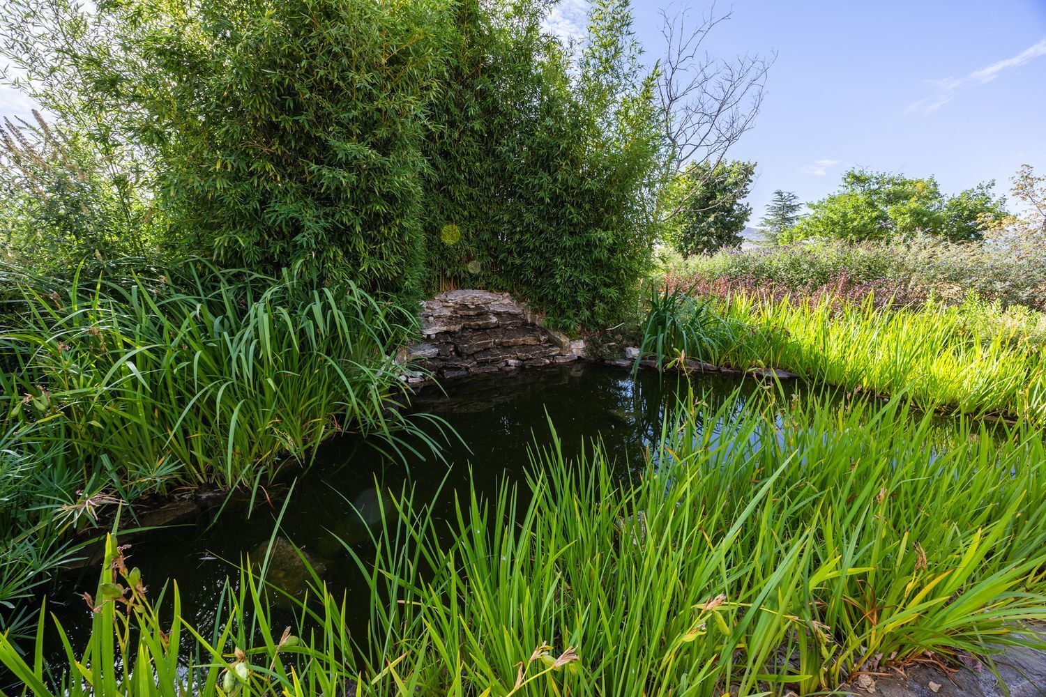 Casas o chalets-Venta-Torrecaballeros-1834097-Foto-87