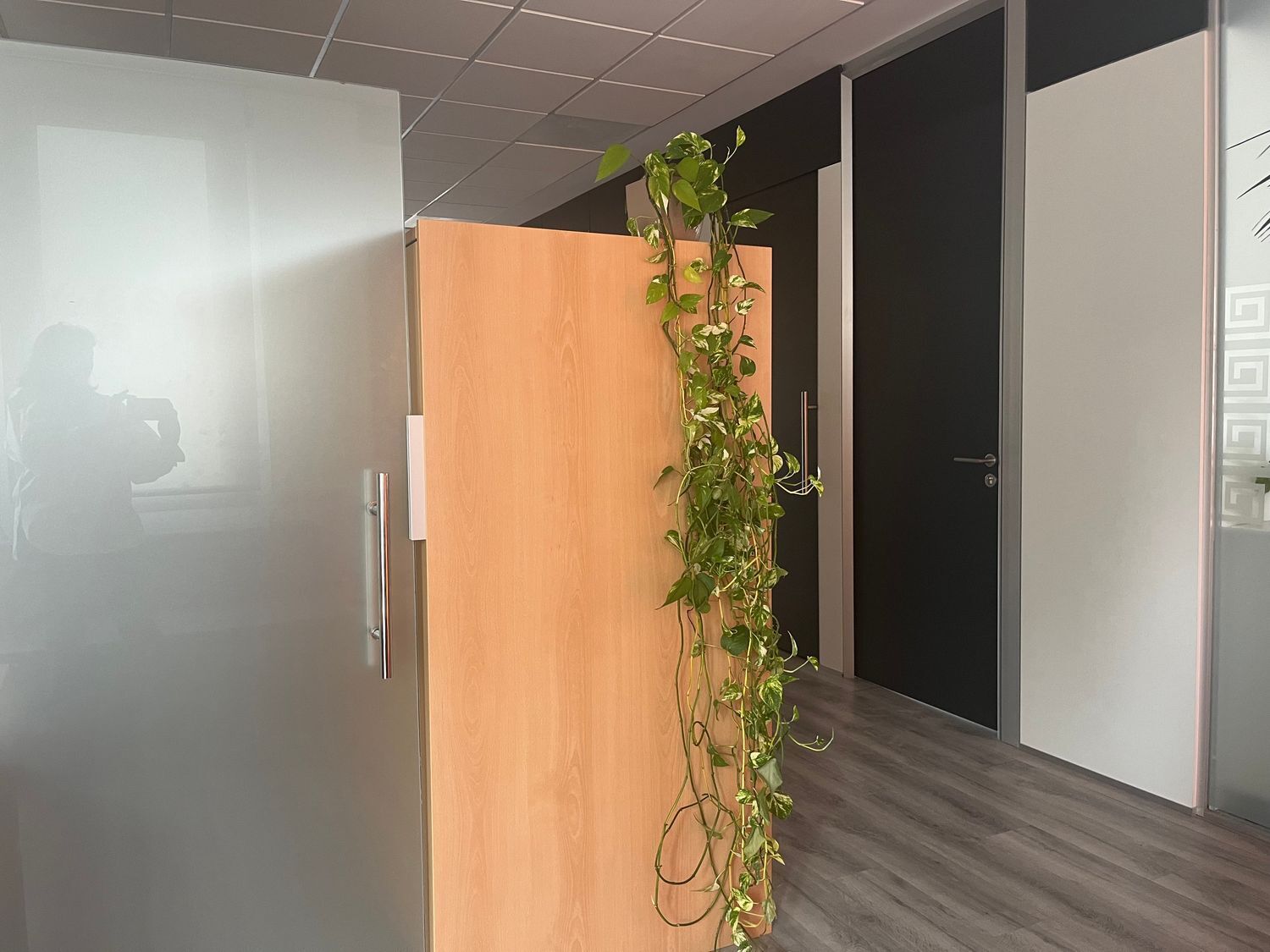 Oficinas-Alquiler-Toledo-1875929-Foto-9