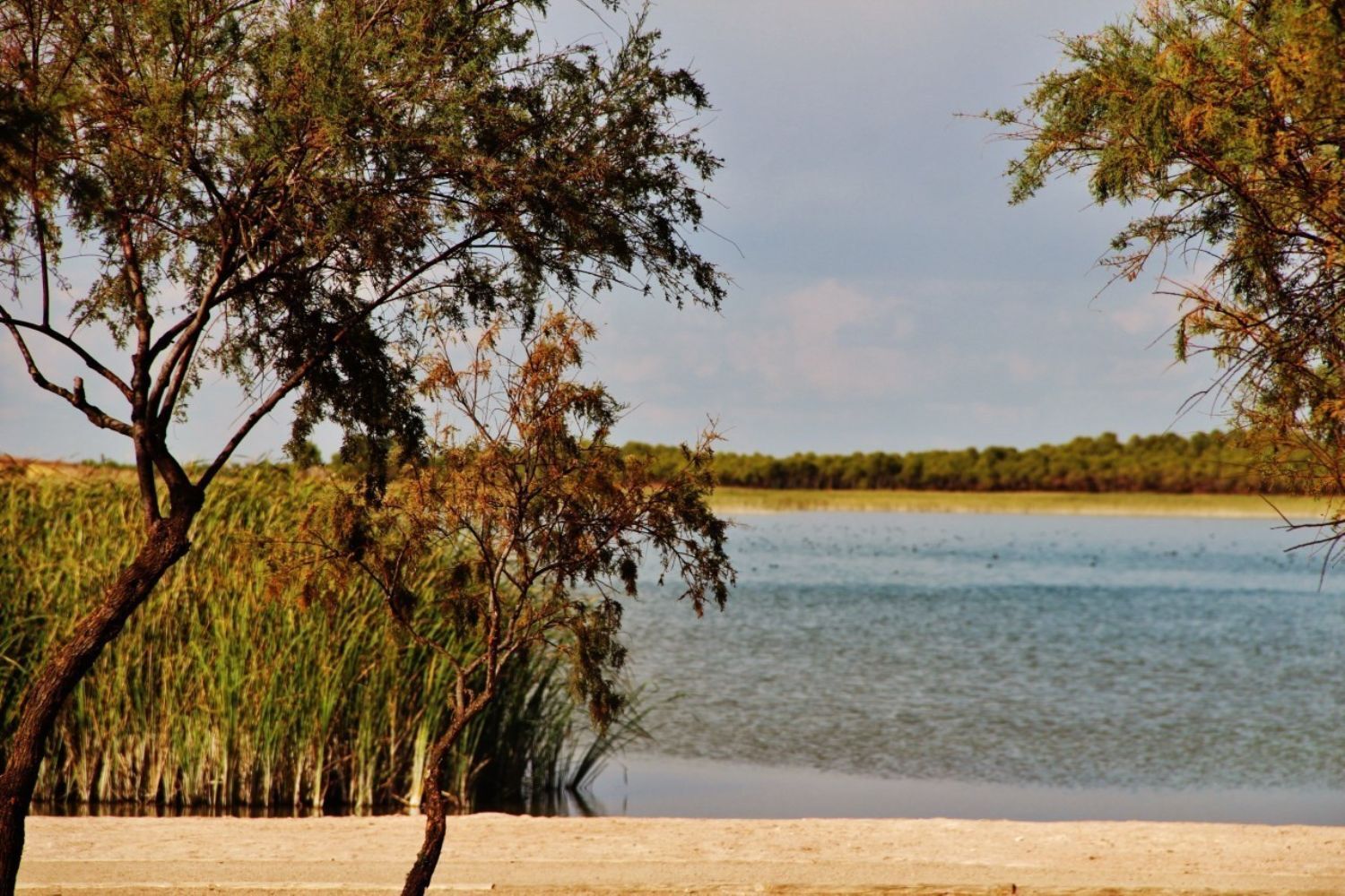 Pisos-Venta-Villafranca de los Caballeros-1021053-Foto-18