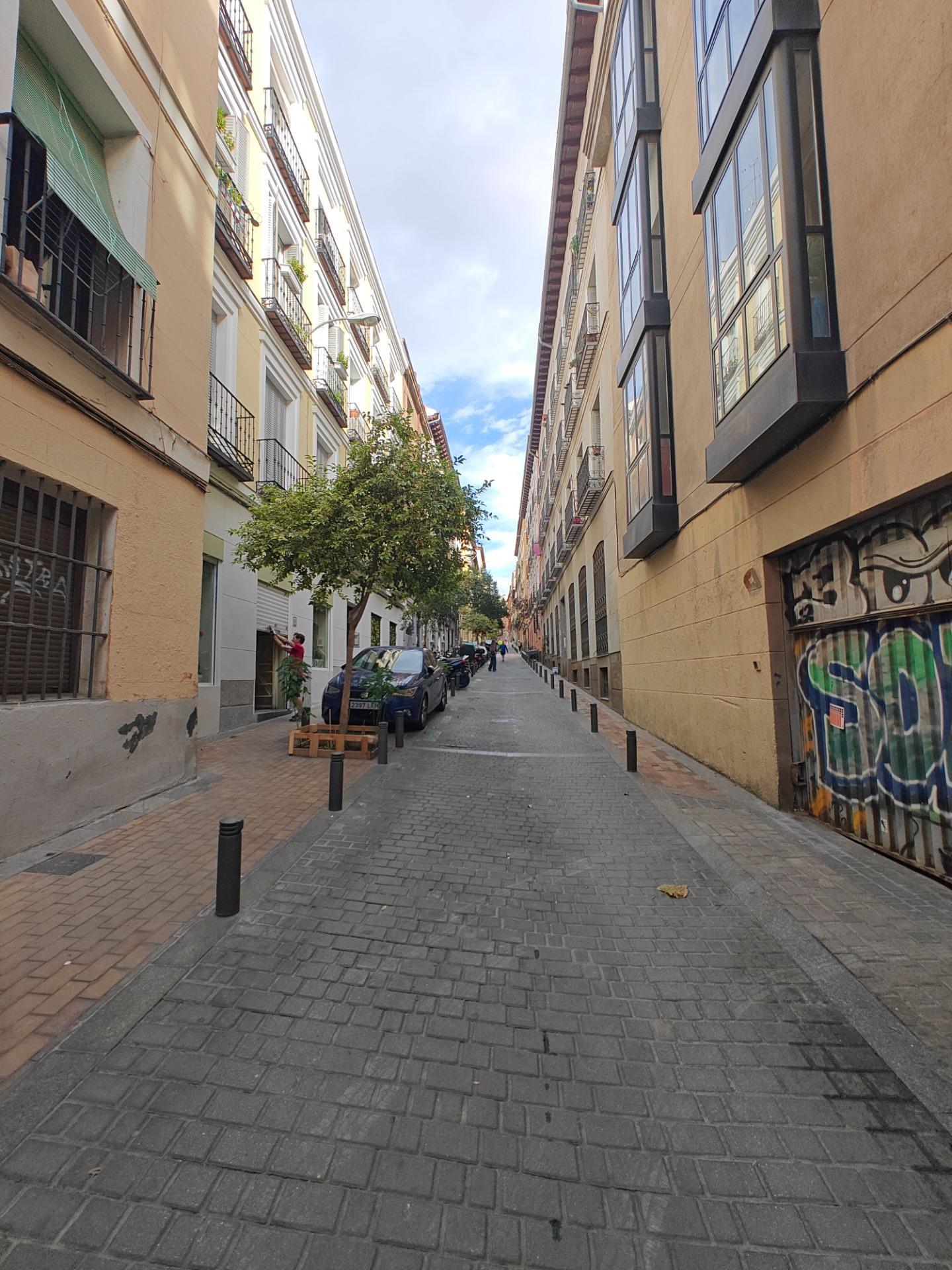 Pisos-Alquiler-Madrid-1974899-Foto-31