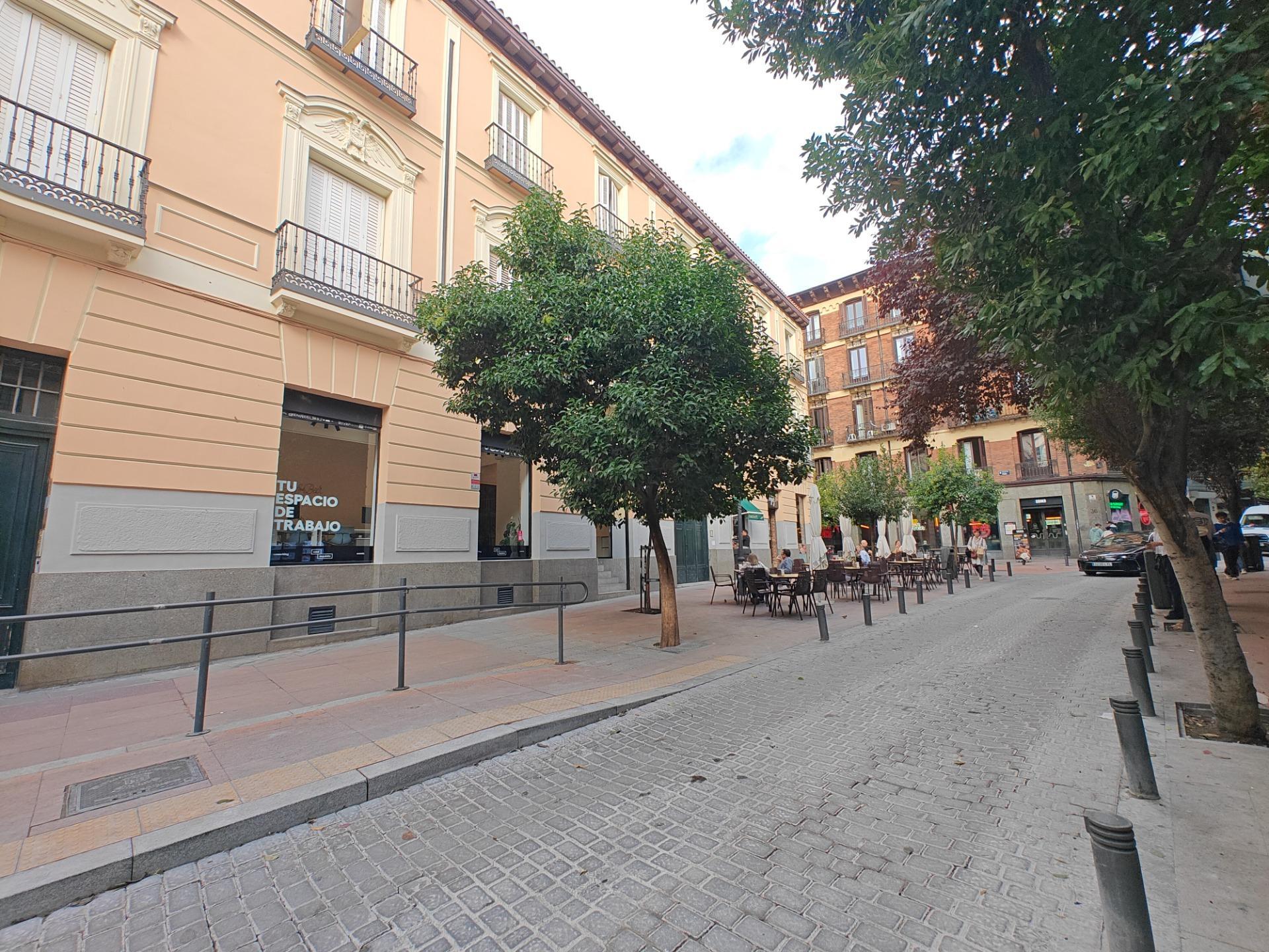 Pisos-Alquiler-Madrid-1974899-Foto-35