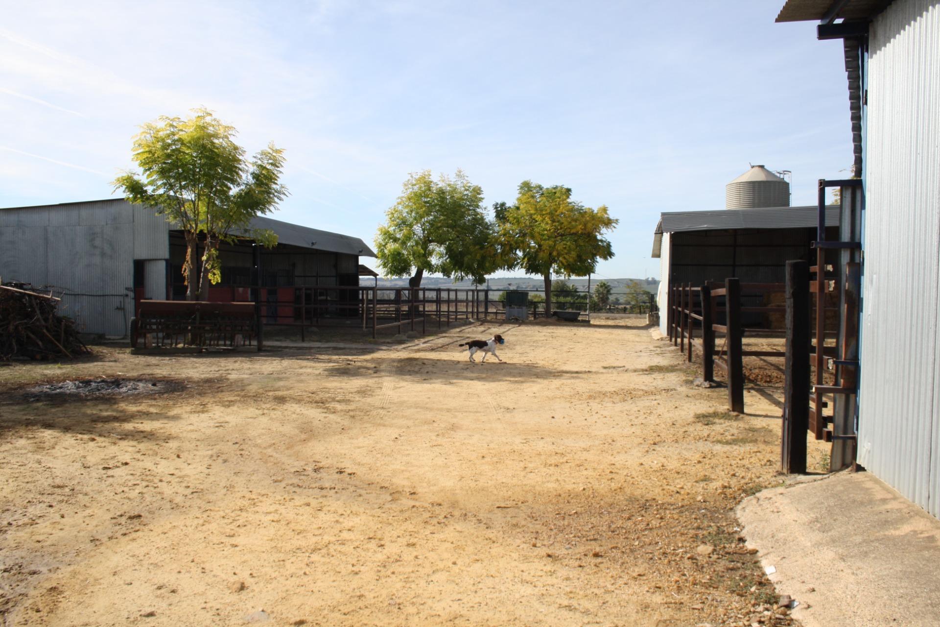 Villa in Carrion de los Cespedes