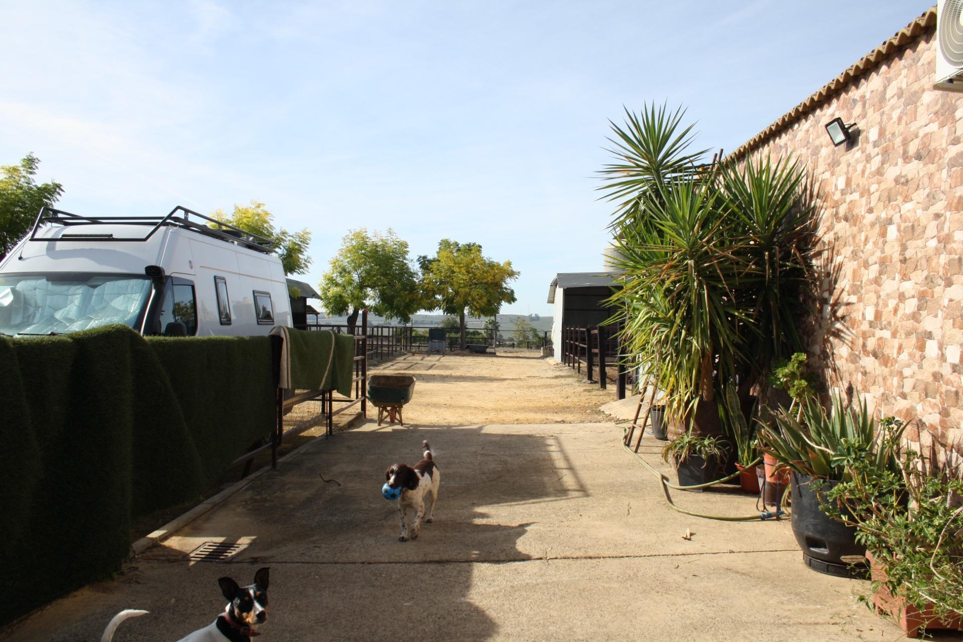 Villa in Carrion de los Cespedes