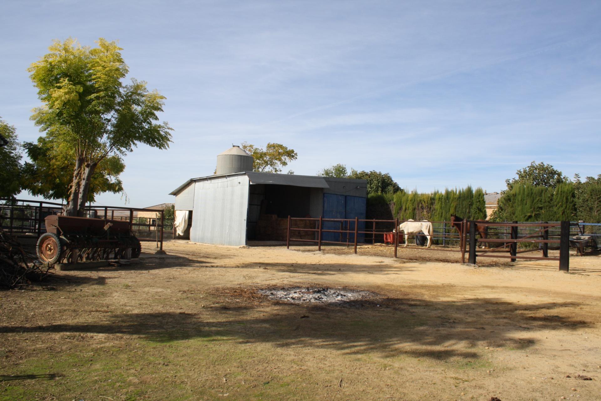Villa in Carrion de los Cespedes