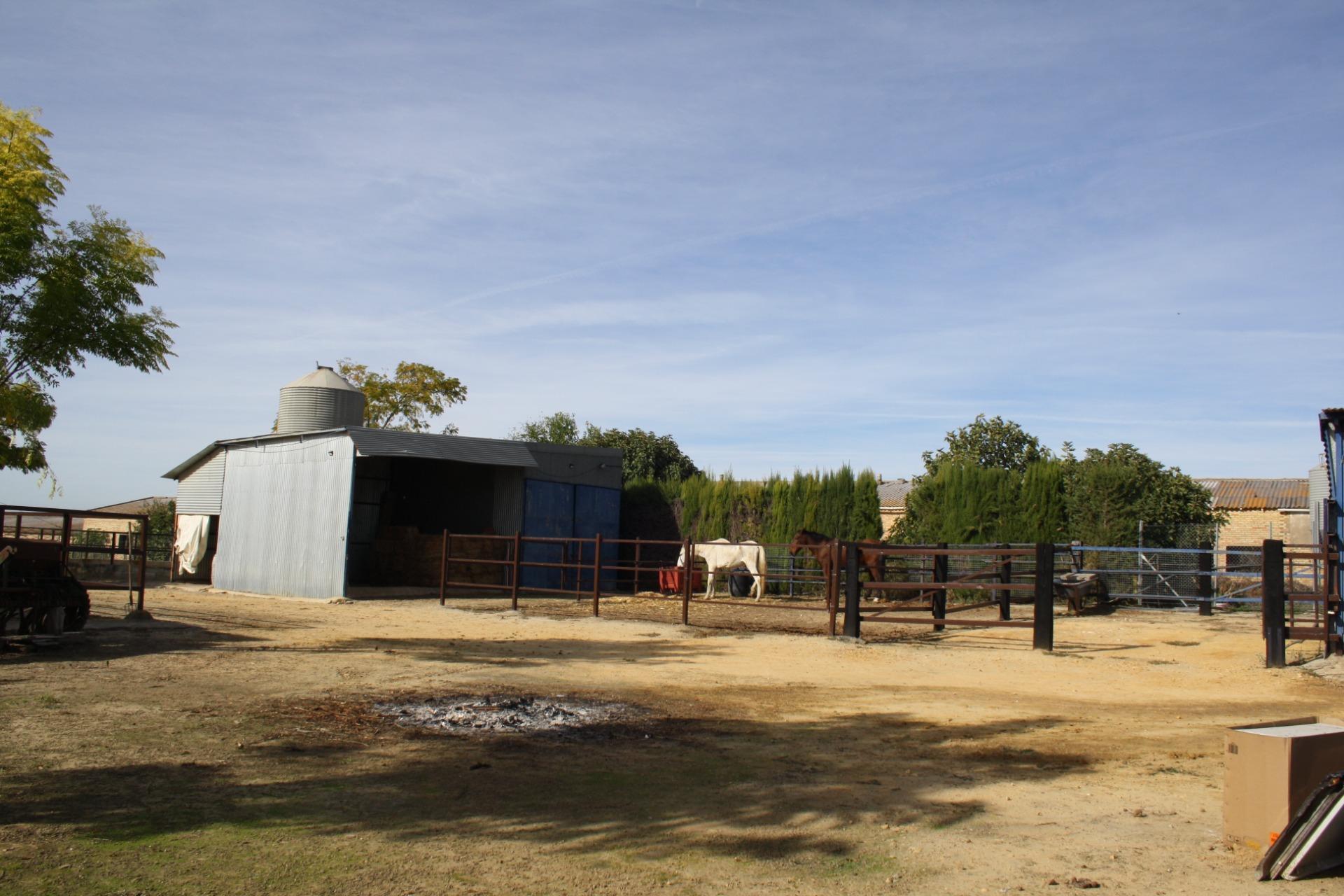 Villa in Carrion de los Cespedes
