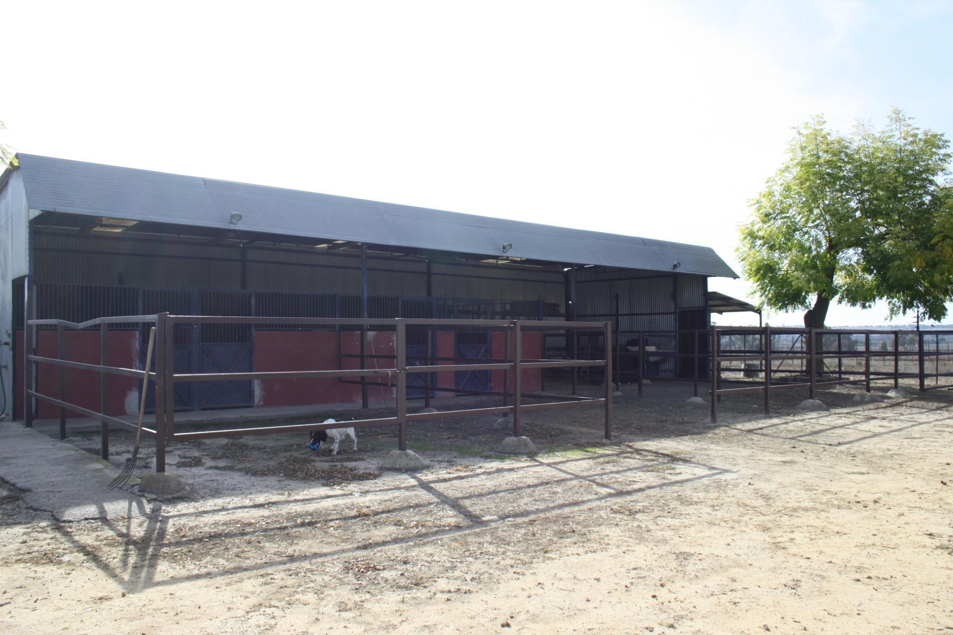 Villa in Carrion de los Cespedes