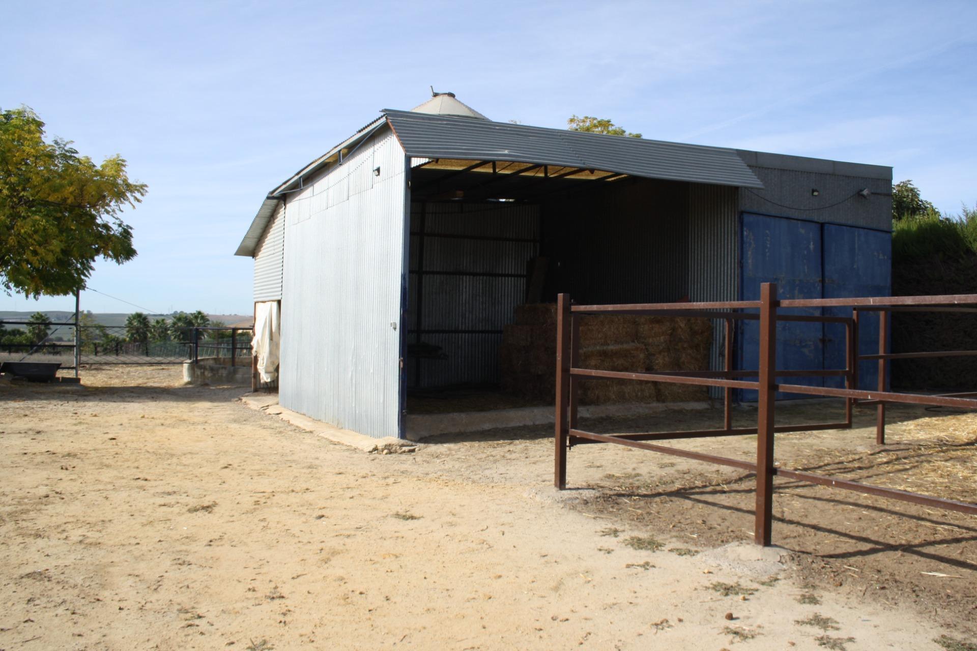 Villa in Carrion de los Cespedes
