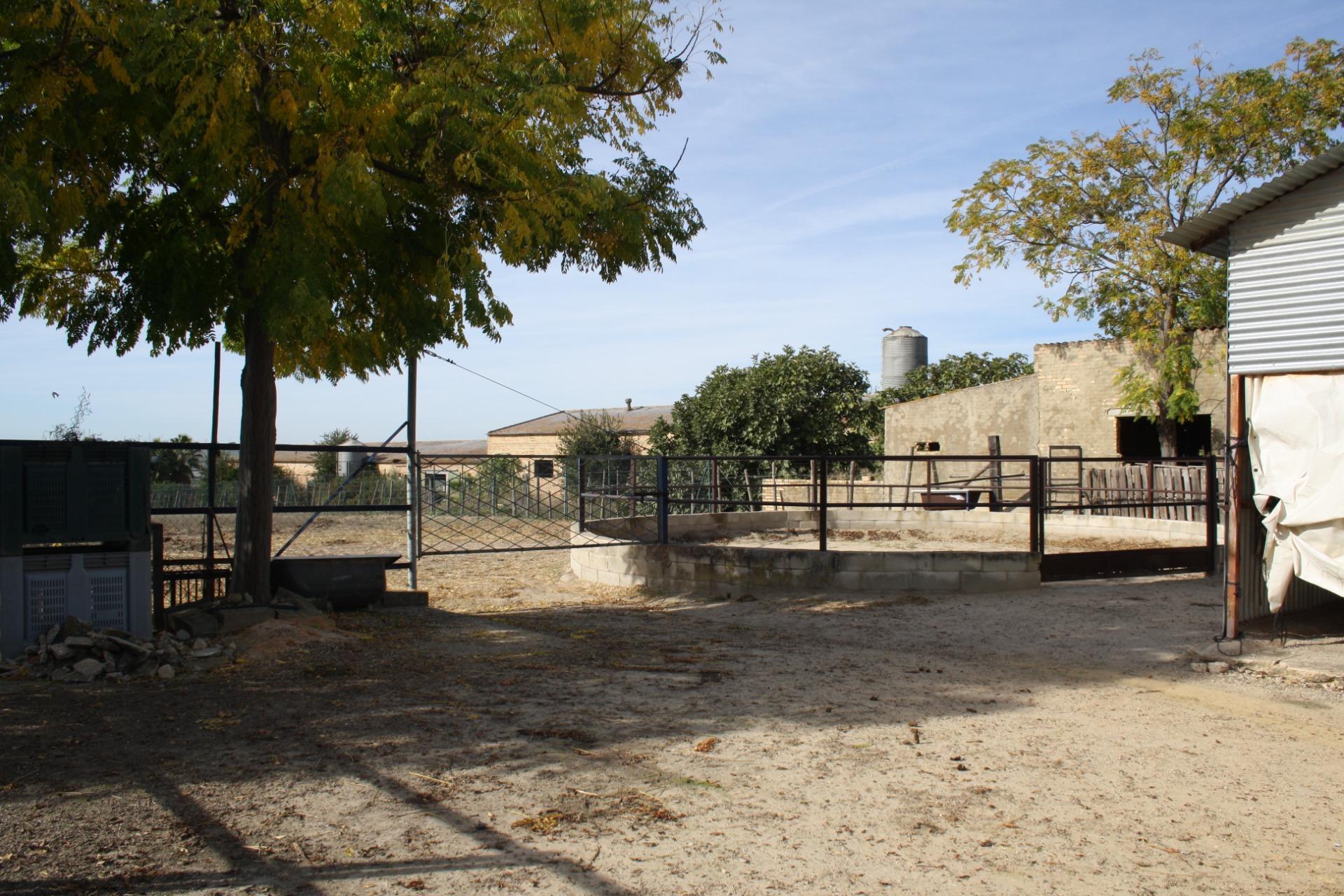Villa in Carrion de los Cespedes
