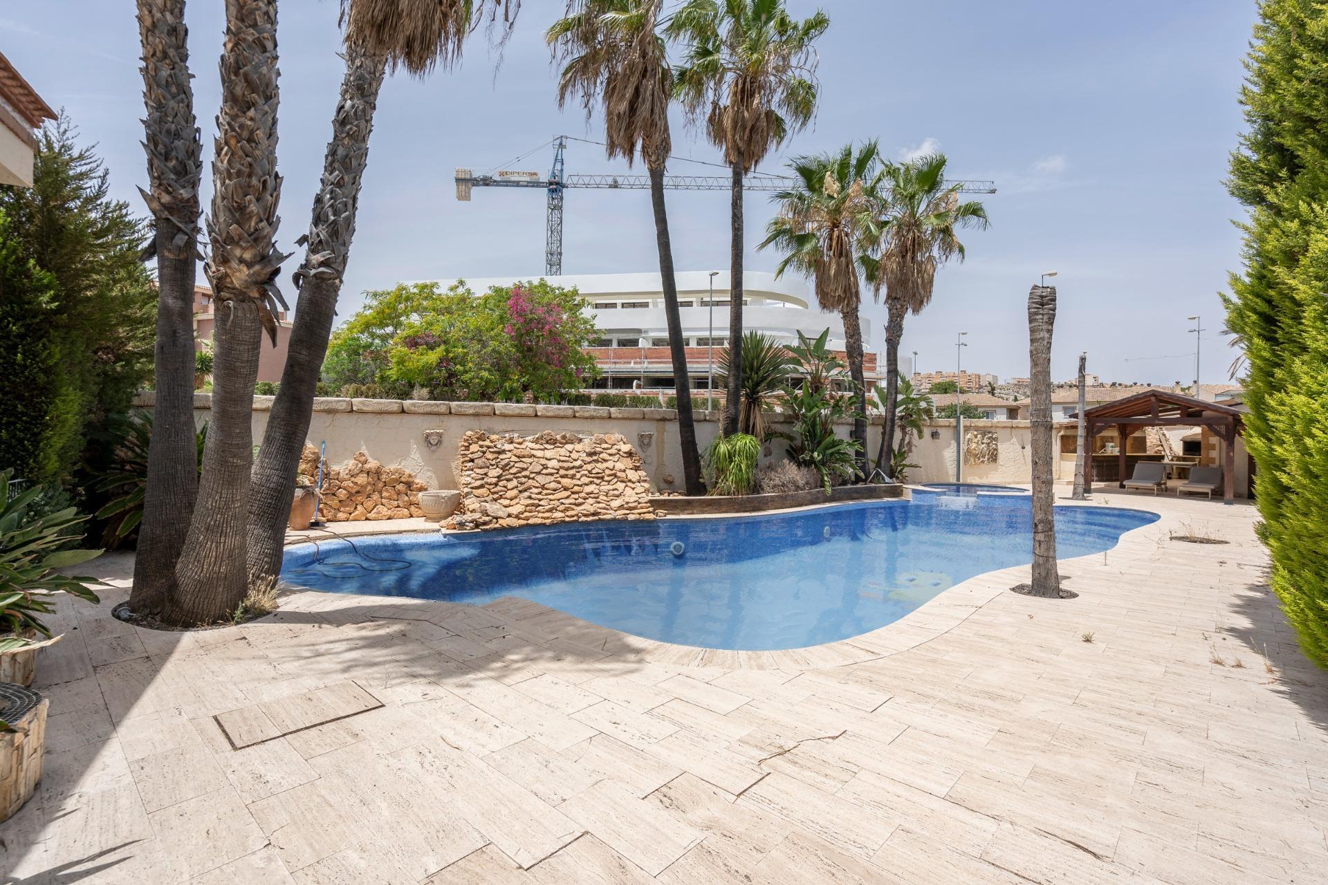 Casas o chalets-Alquiler-Molina de Segura-2019728-Foto-85