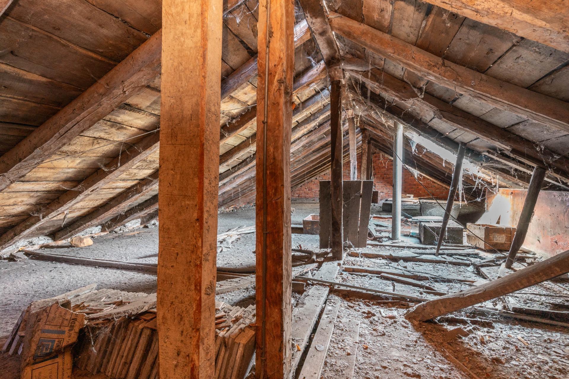 Casas o chalets-Venta-Palacios del Sil-1974917-Foto-28