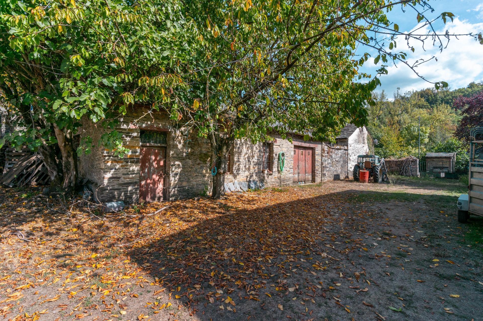Casas o chalets-Venta-Palacios del Sil-1974917-Foto-36