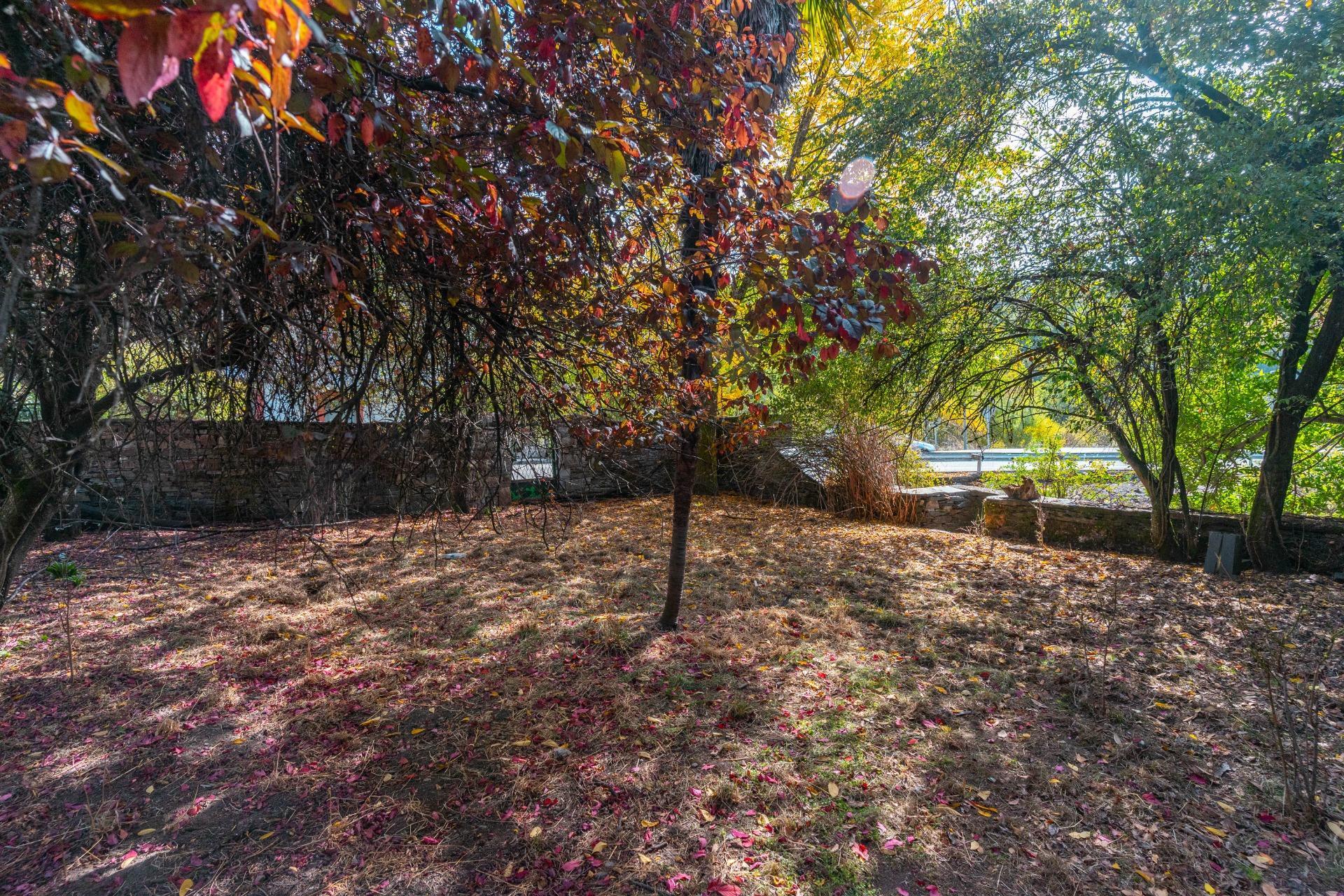 Casas o chalets-Venta-Palacios del Sil-1974917-Foto-41