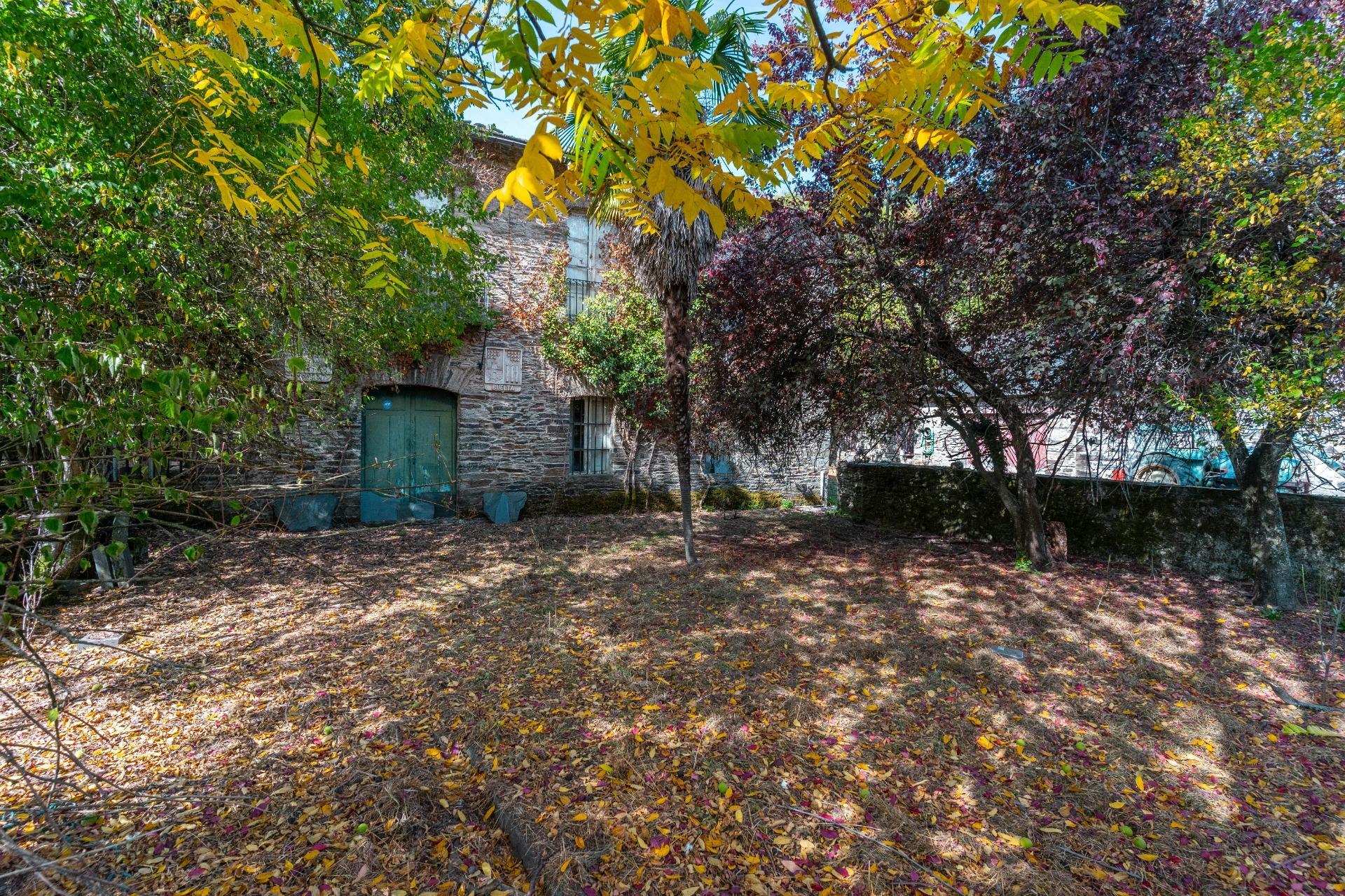 Casas o chalets-Venta-Palacios del Sil-1974917-Foto-44