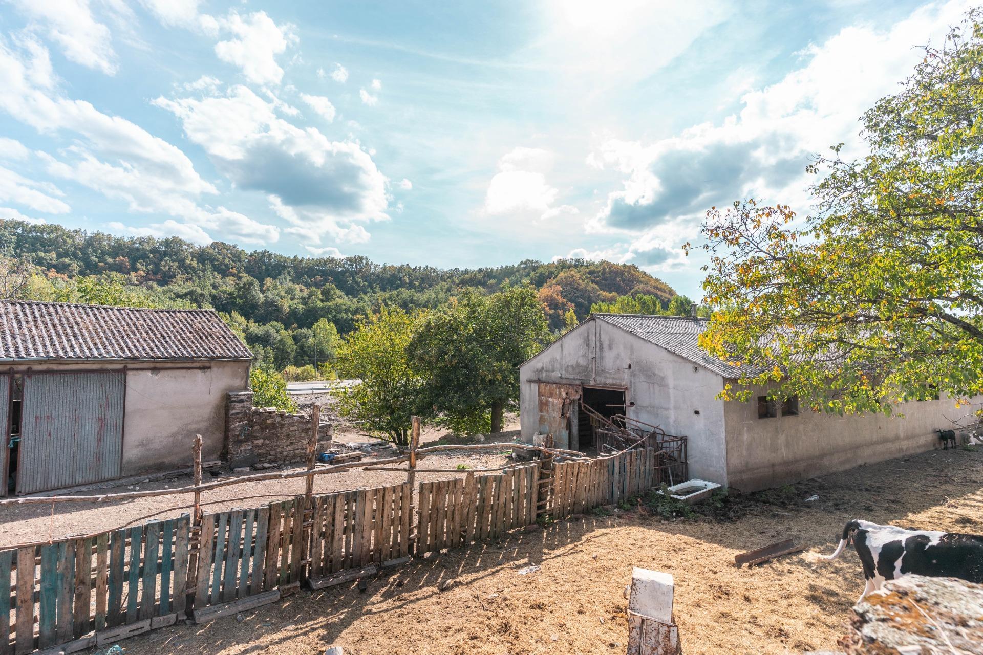 Casas o chalets-Venta-Palacios del Sil-1974917-Foto-66