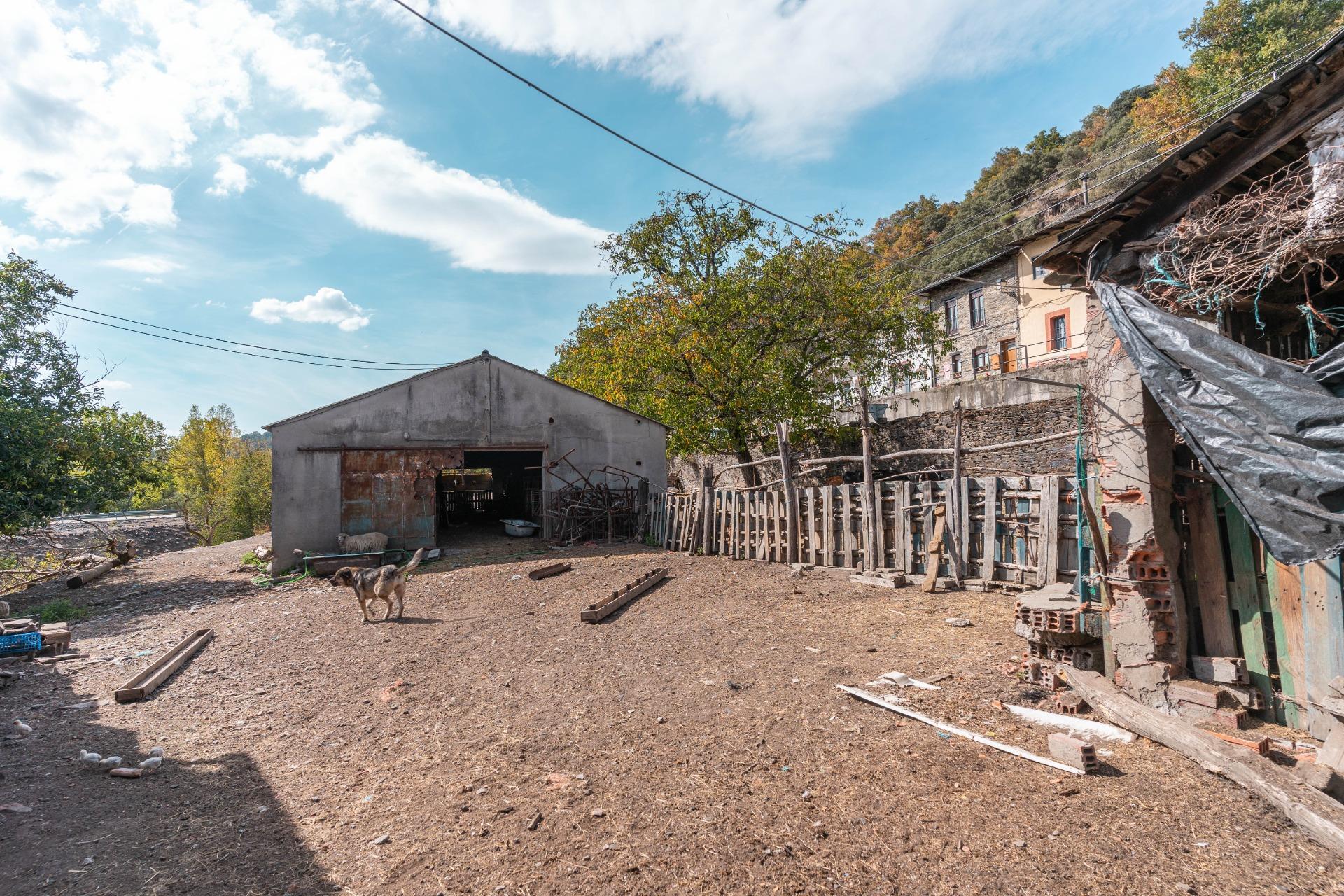 Casas o chalets-Venta-Palacios del Sil-1974917-Foto-69