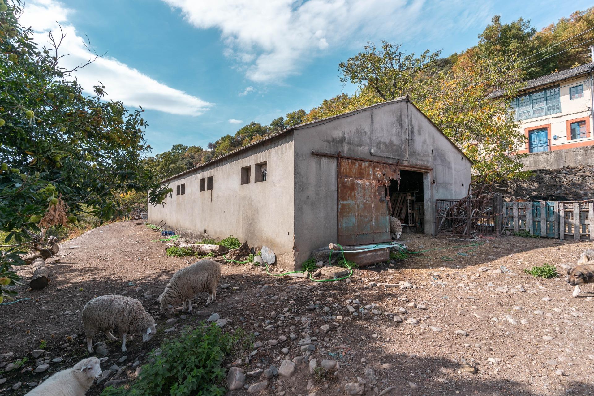 Casas o chalets-Venta-Palacios del Sil-1974917-Foto-72