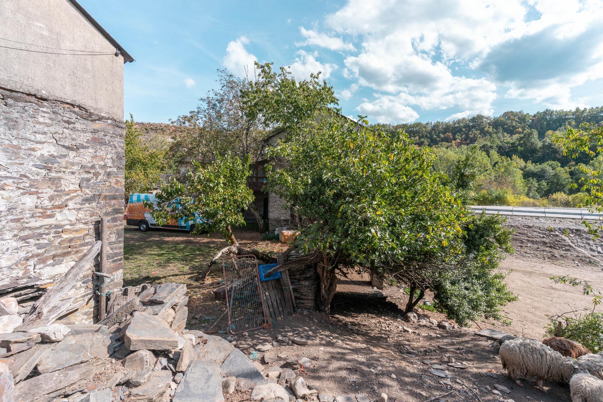 Casas o chalets-Venta-Palacios del Sil-1974917-Foto-73