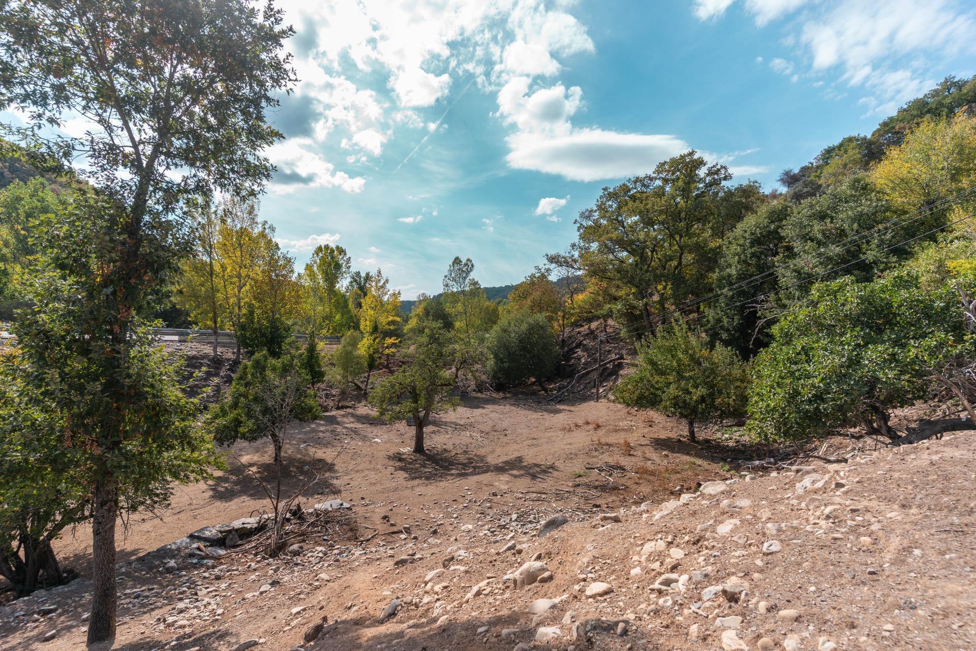 Casas o chalets-Venta-Palacios del Sil-1974917-Foto-77