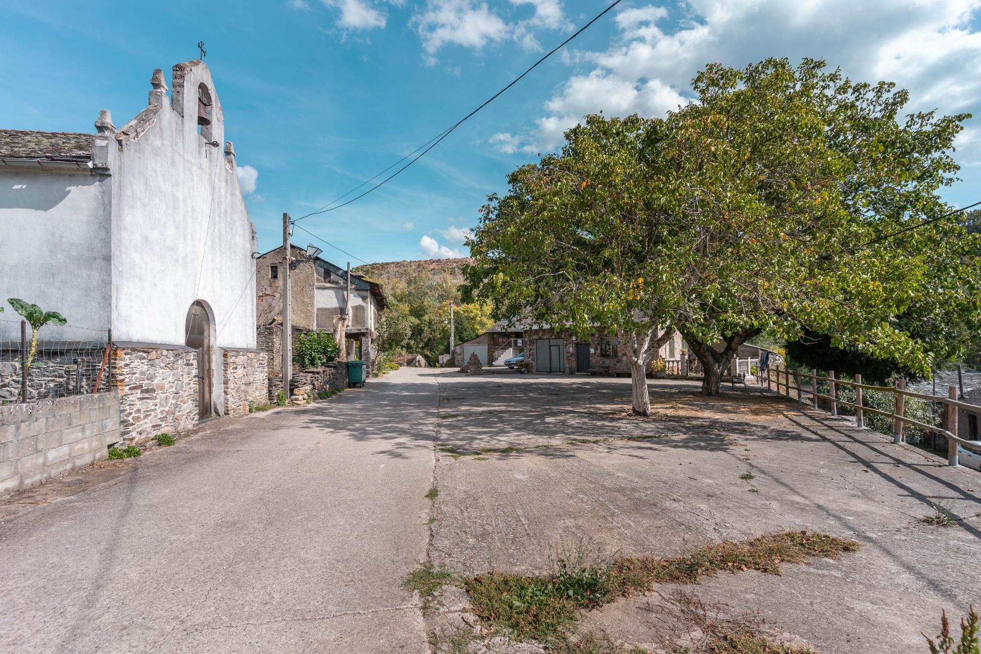 Casas o chalets-Venta-Palacios del Sil-1974917-Foto-83