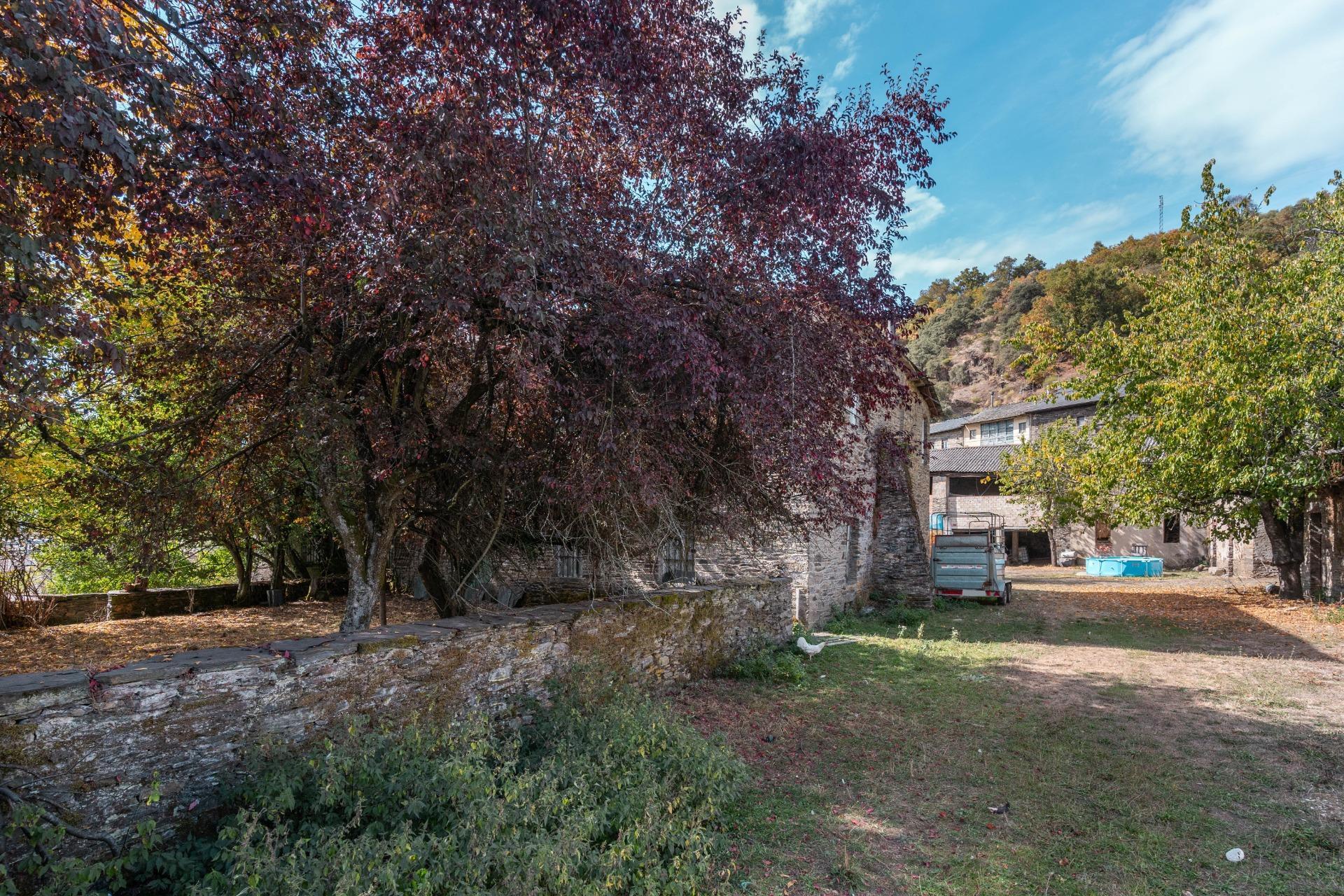Casas o chalets-Venta-Palacios del Sil-1974917-Foto-84