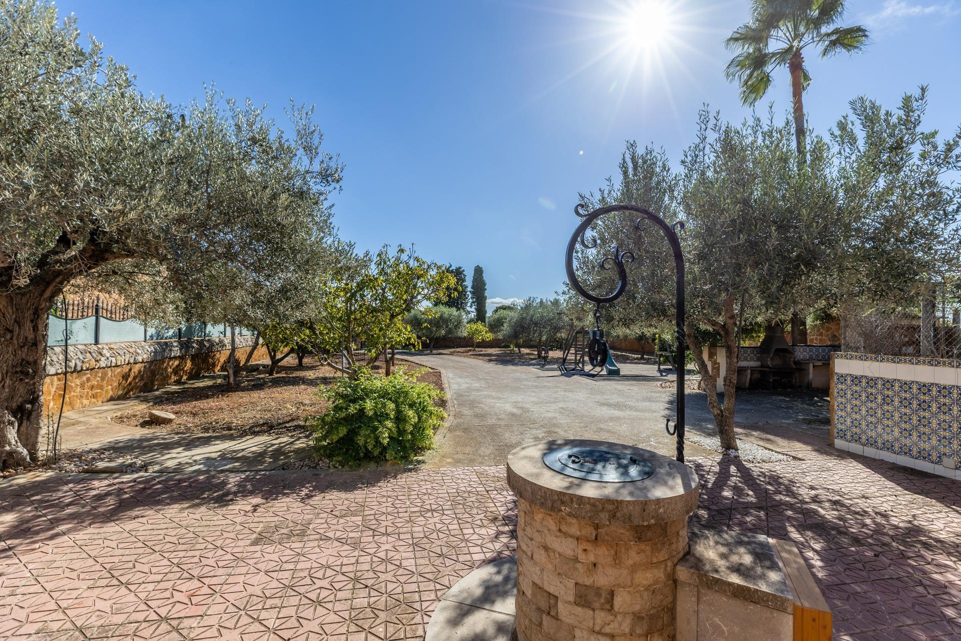 Casas o chalets-Venta-Santa MarÃ­a del CamÃ­-1975173-Foto-30