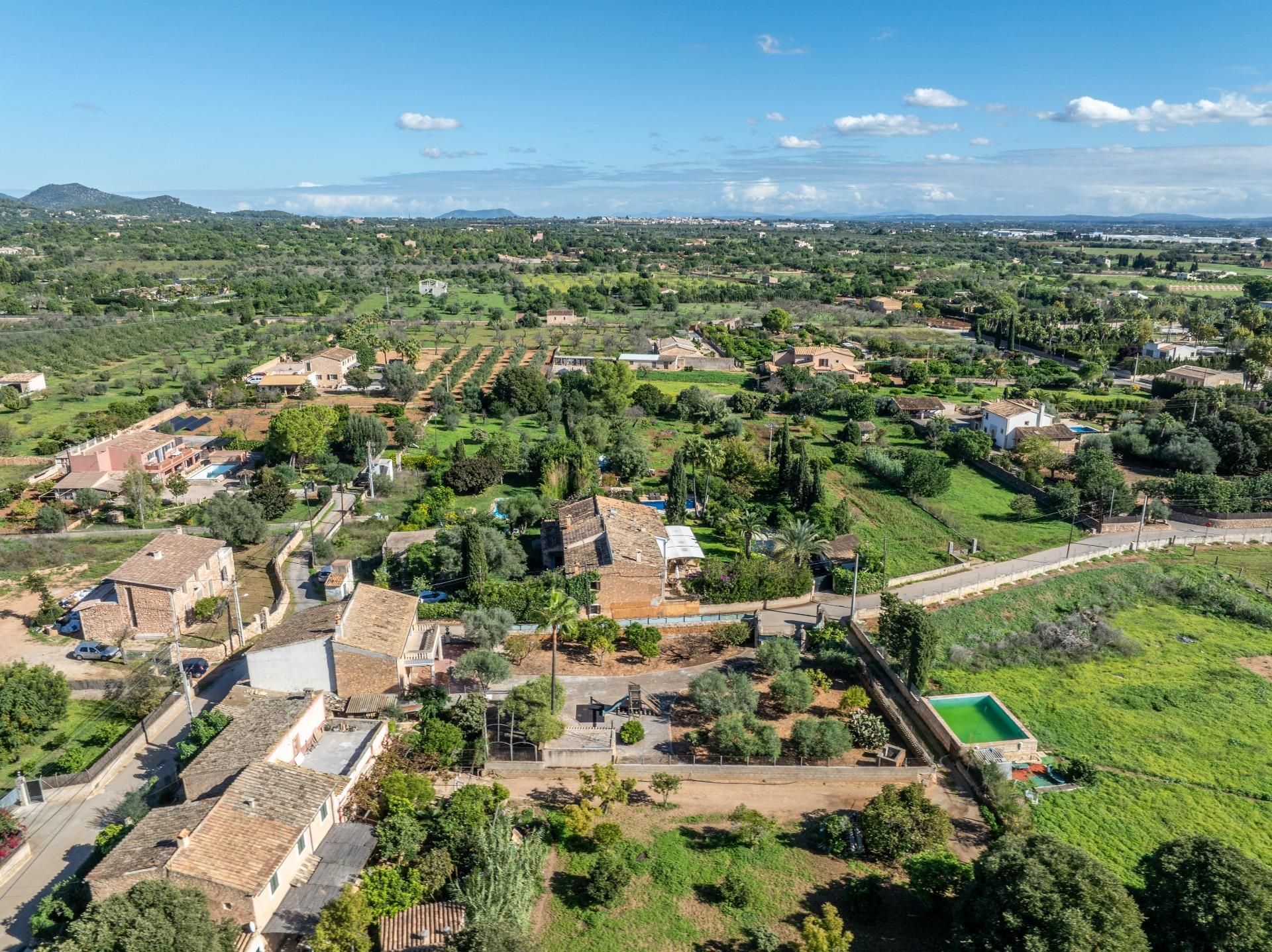 Casas o chalets-Venta-Santa MarÃ­a del CamÃ­-1975173-Foto-45