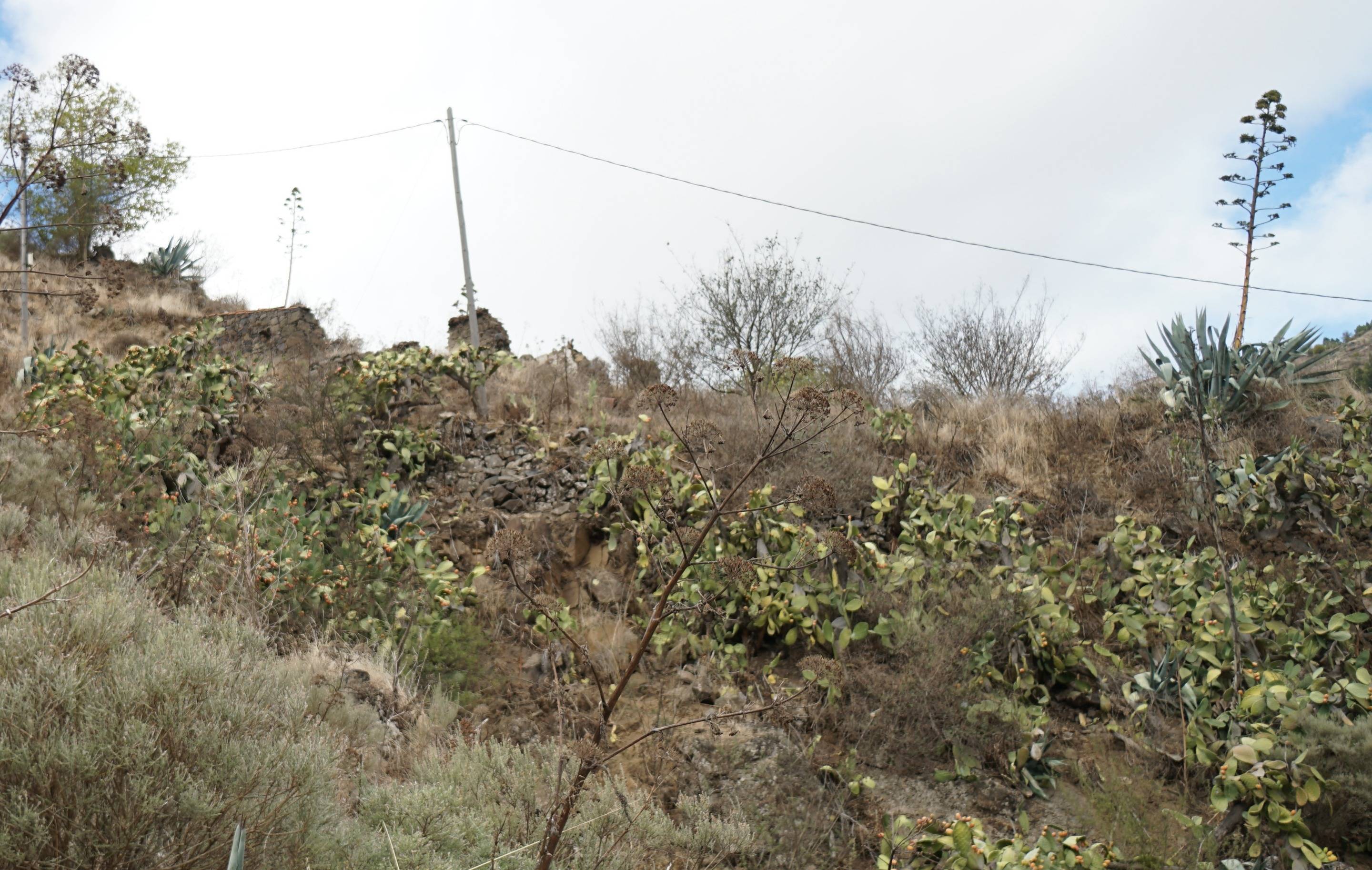 Pisos-Venta-Vega de San Mateo-1790799-Foto-41