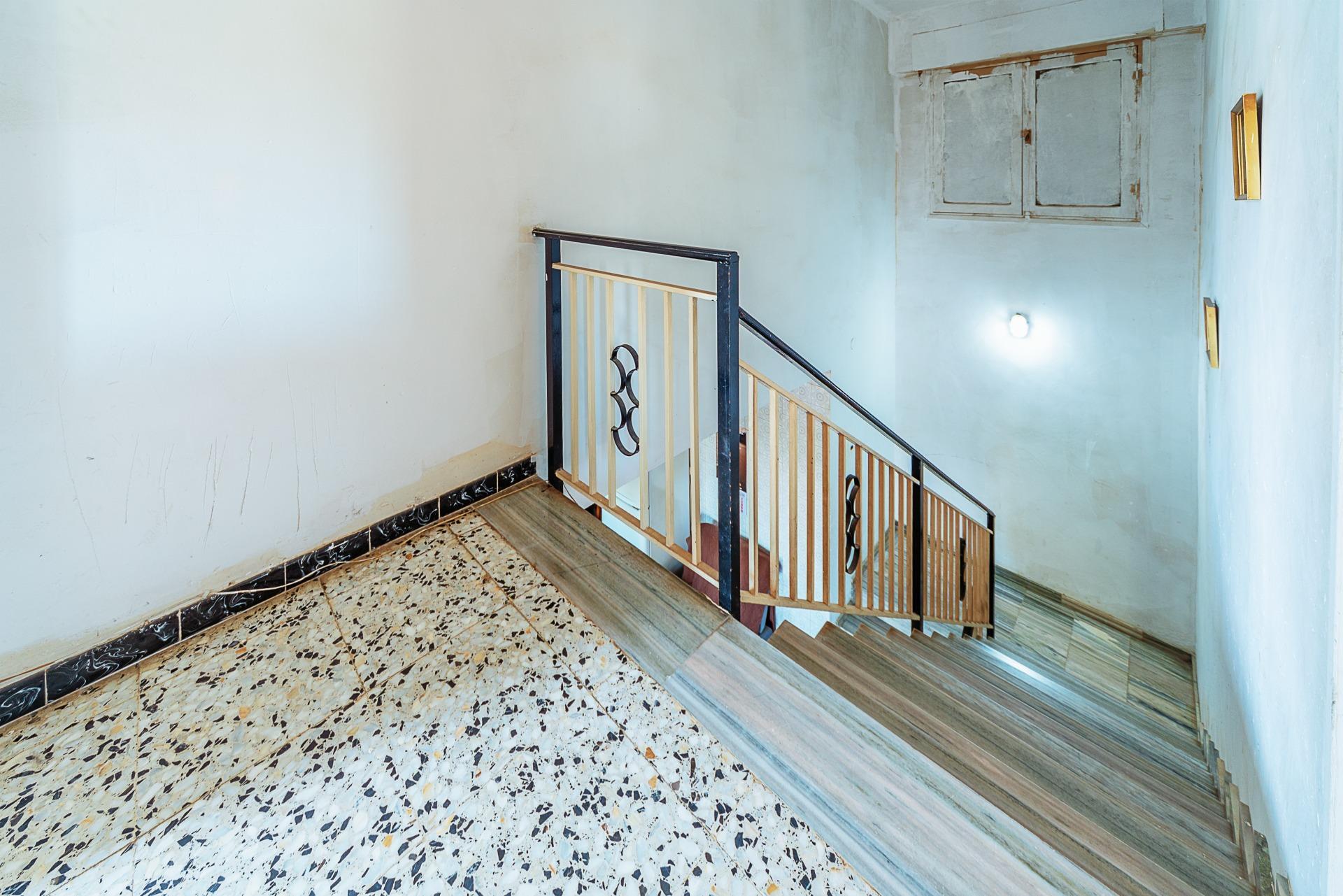 Casas o chalets-Venta-Elche-1684861-Foto-13