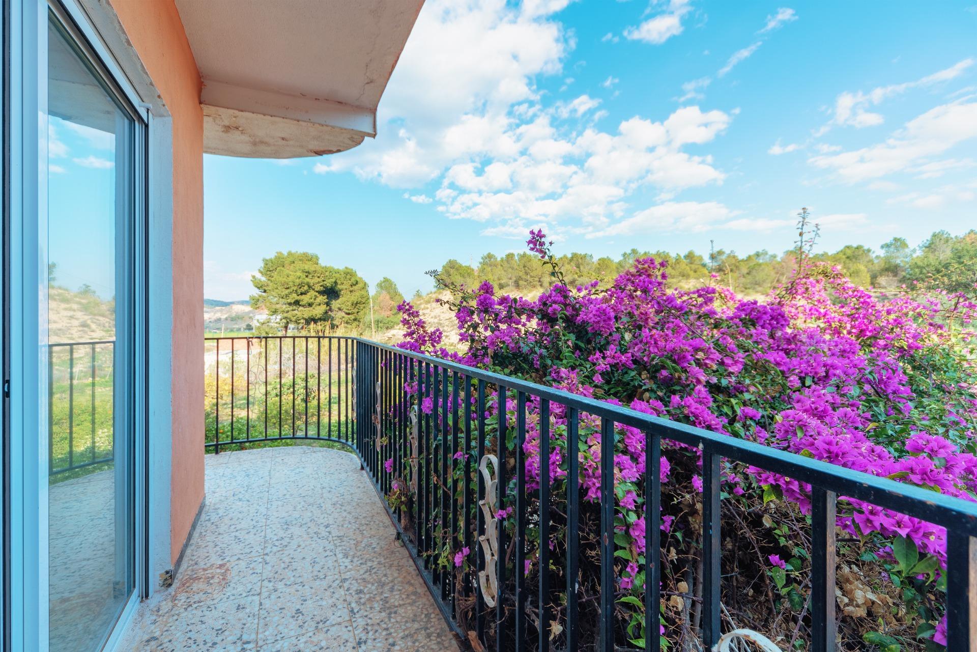 Casas o chalets-Venta-Elche-1684861-Foto-16