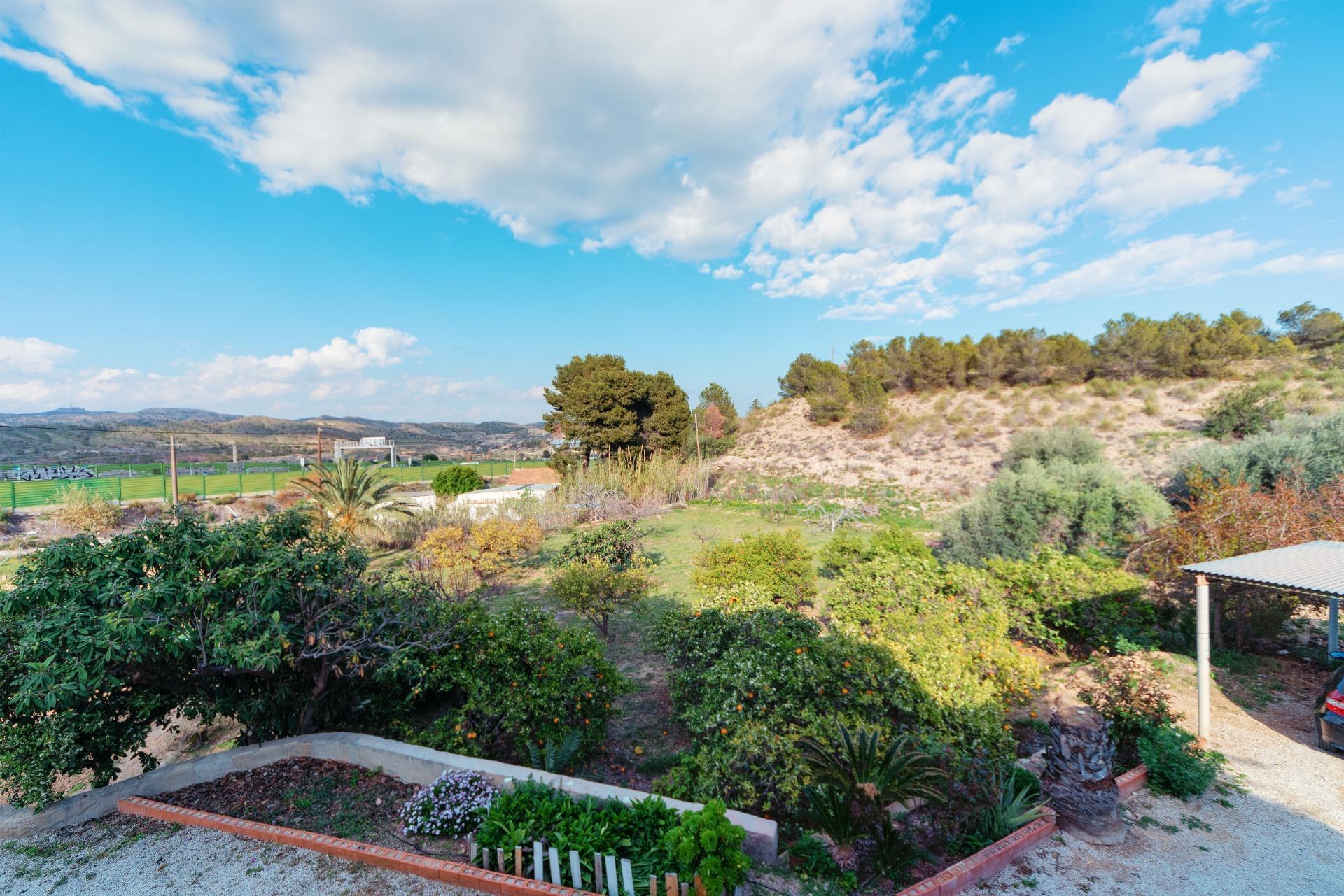 Casas o chalets-Venta-Elche-1684861-Foto-18