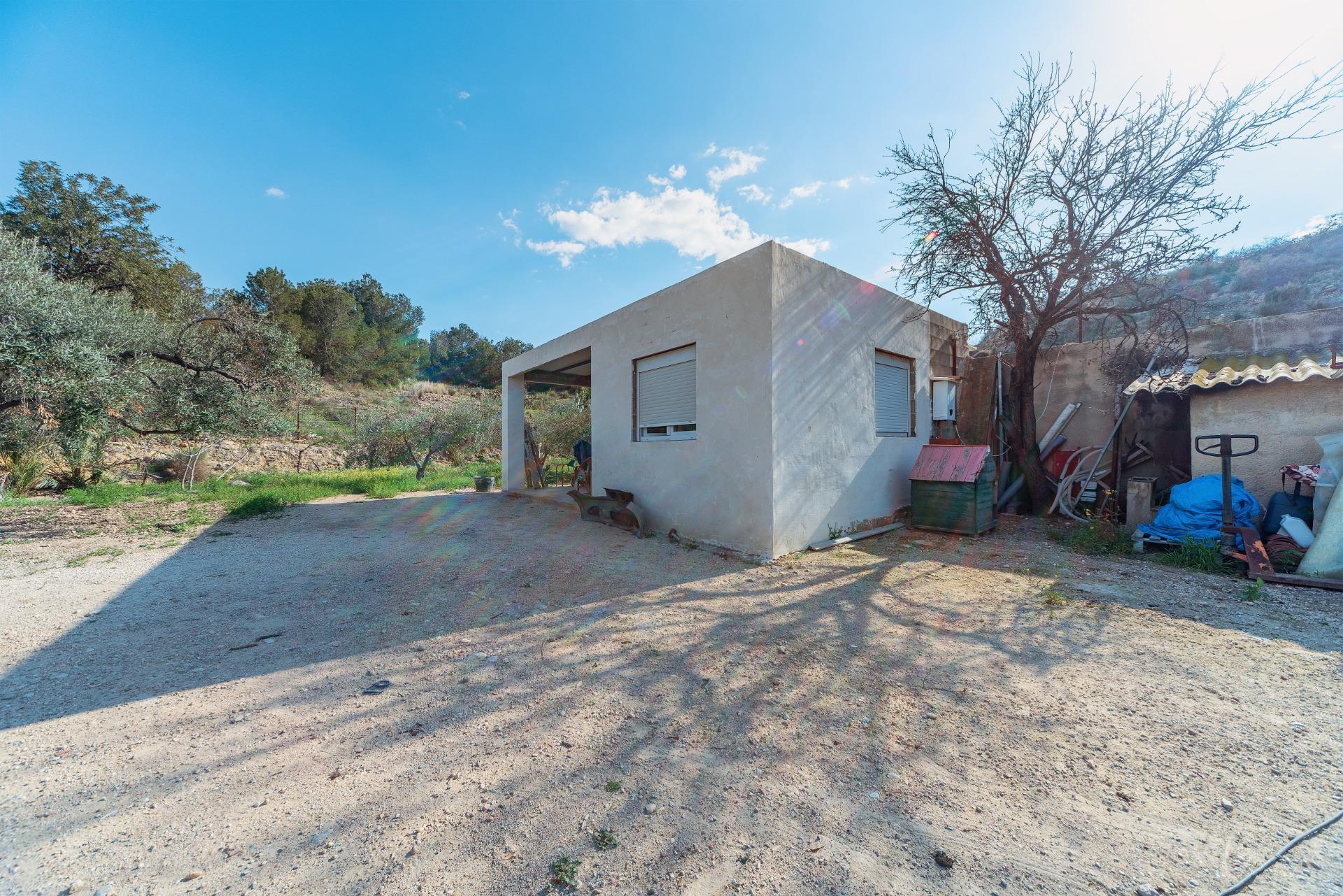 Casas o chalets-Venta-Elche-1684861-Foto-26