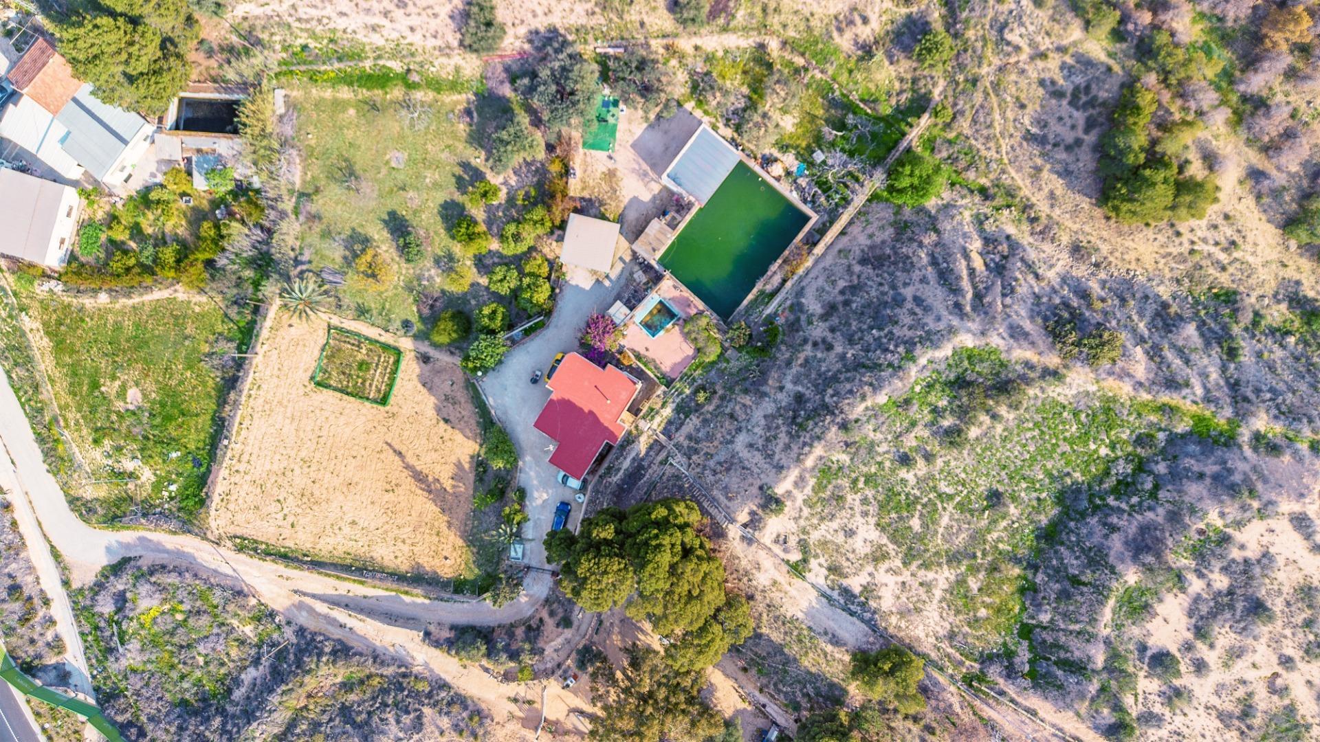 Casas o chalets-Venta-Elche-1684861-Foto-34