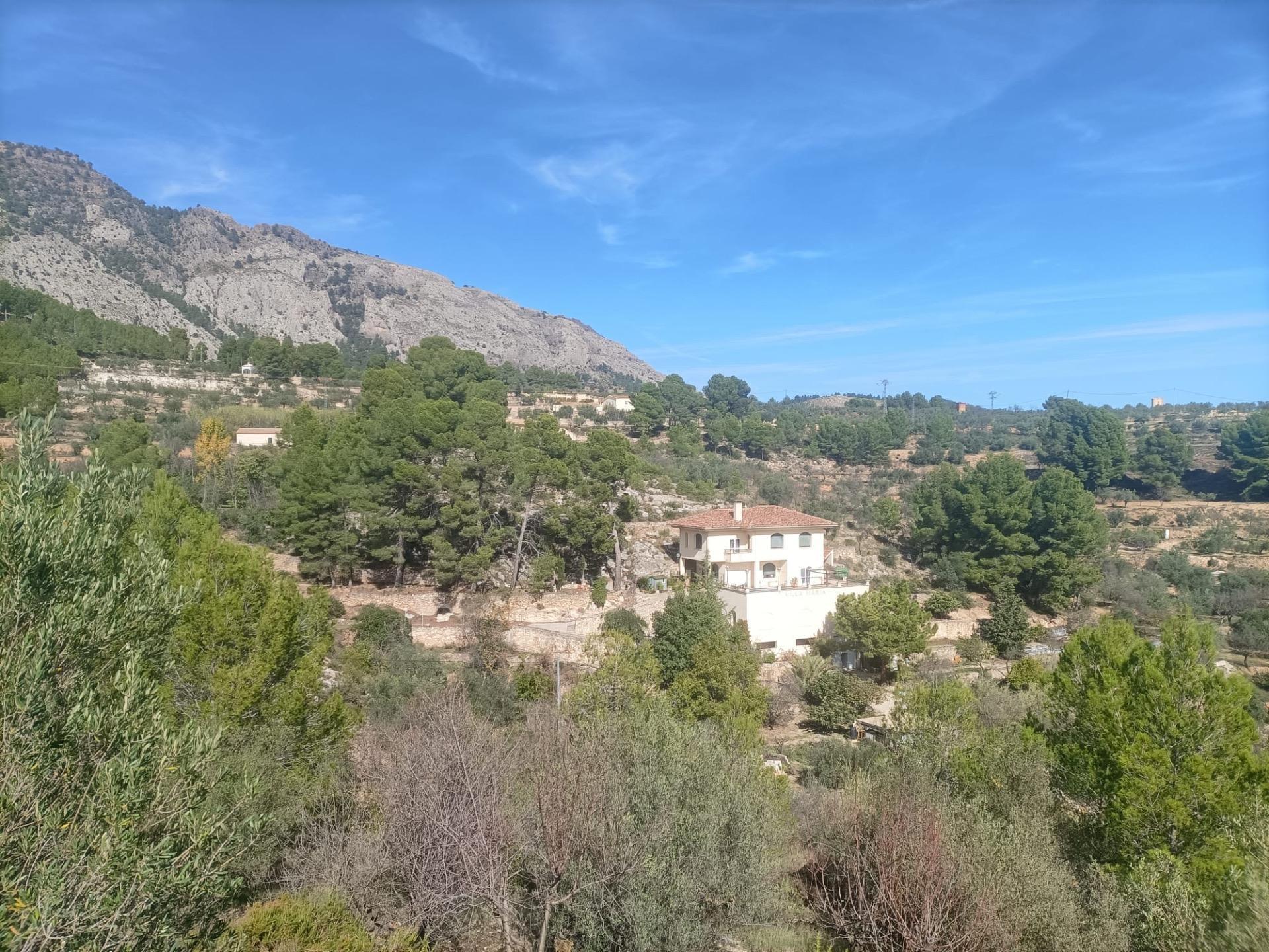 Casas o chalets-Venta-Cocentaina-1975247-Foto-2