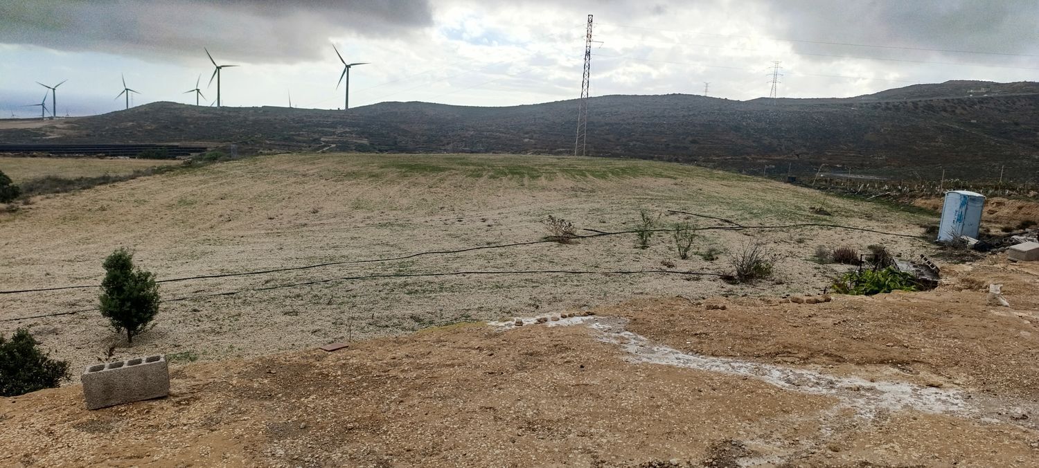 Pisos-Venta-Arico-1975259-Foto-2