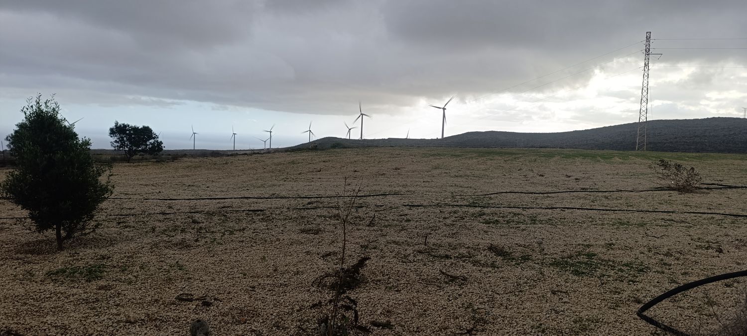 Pisos-Venta-Arico-1975259-Foto-8