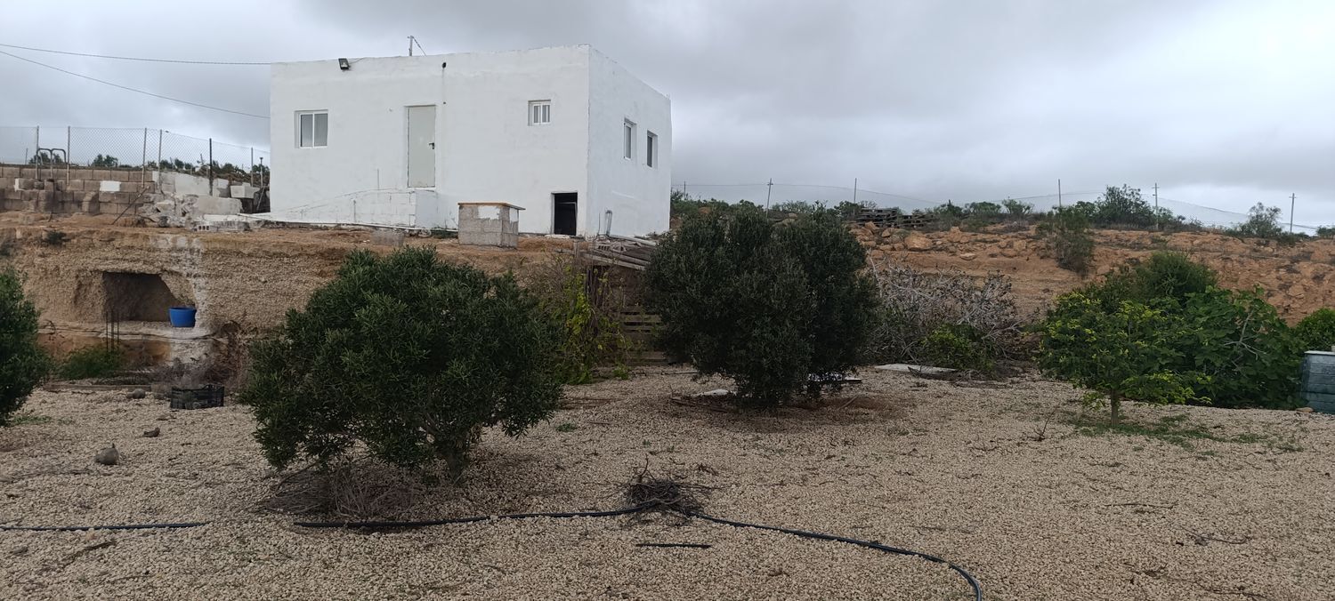 Pisos-Venta-Arico-1975259-Foto-7