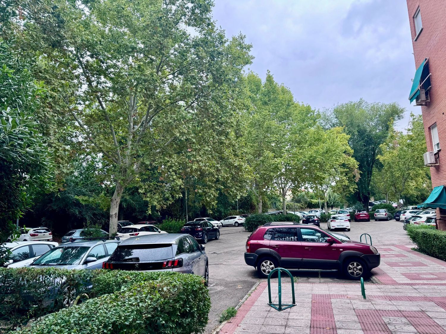 Pisos-Venta-Rivas-Vaciamadrid-1975262-Foto-19