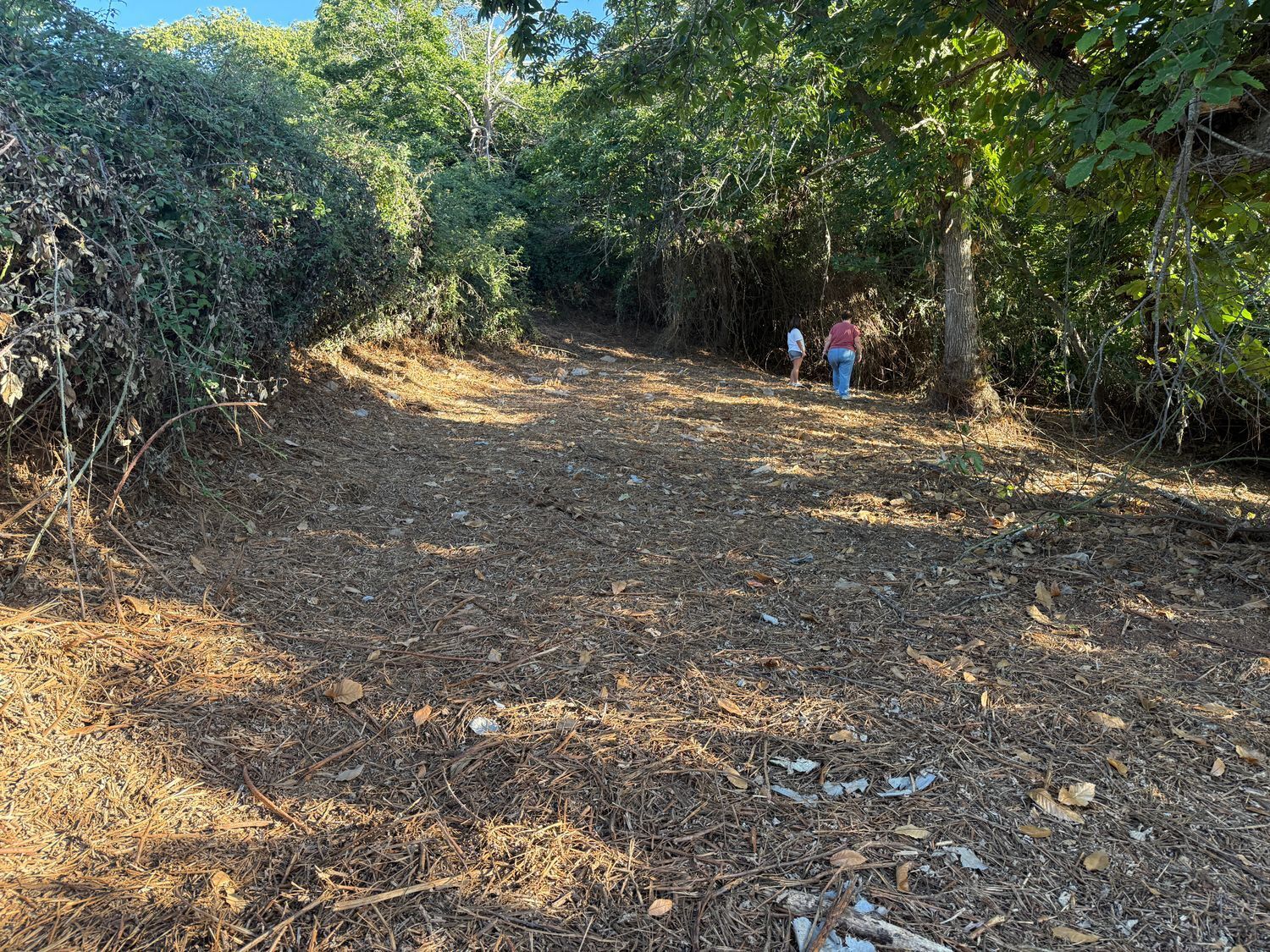 Fincas y solares-Venta-La Matanza de Acentejo-1975265-Foto-2