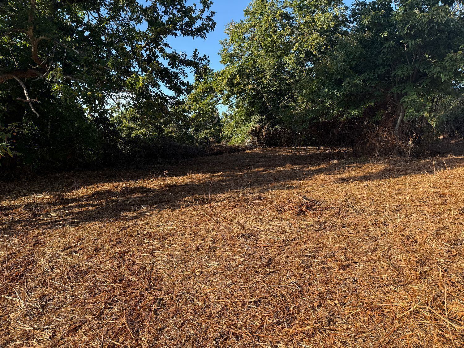 Fincas y solares-Venta-La Matanza de Acentejo-1975265-Foto-3