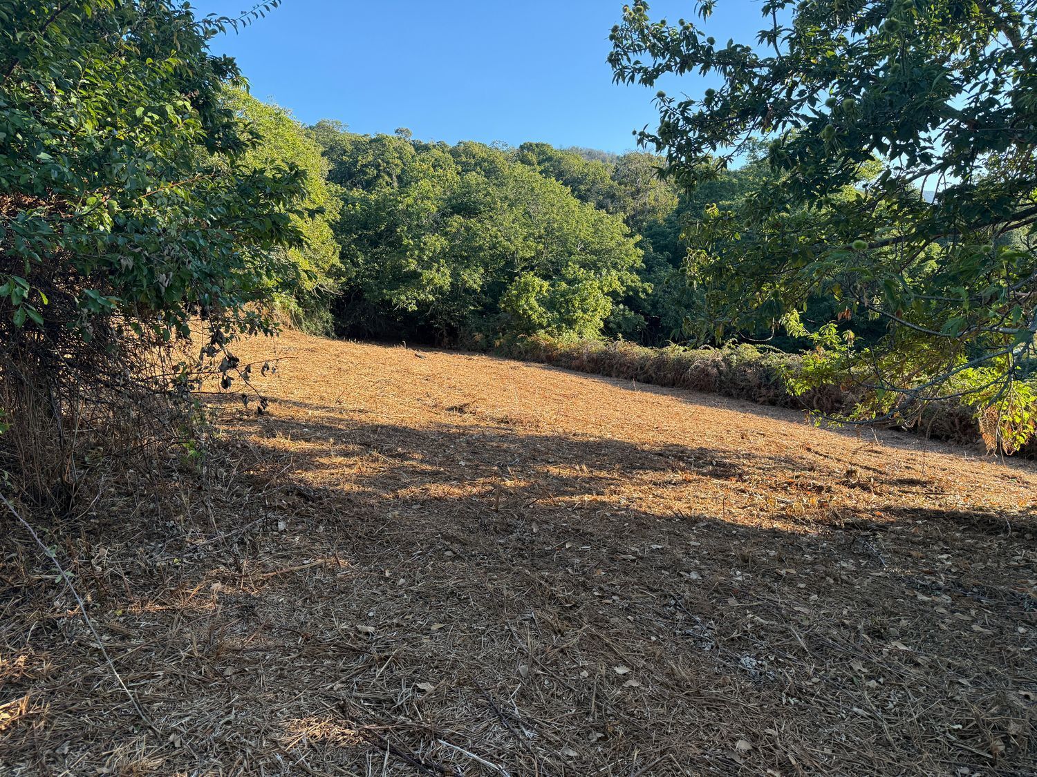 Fincas y solares-Venta-1975265