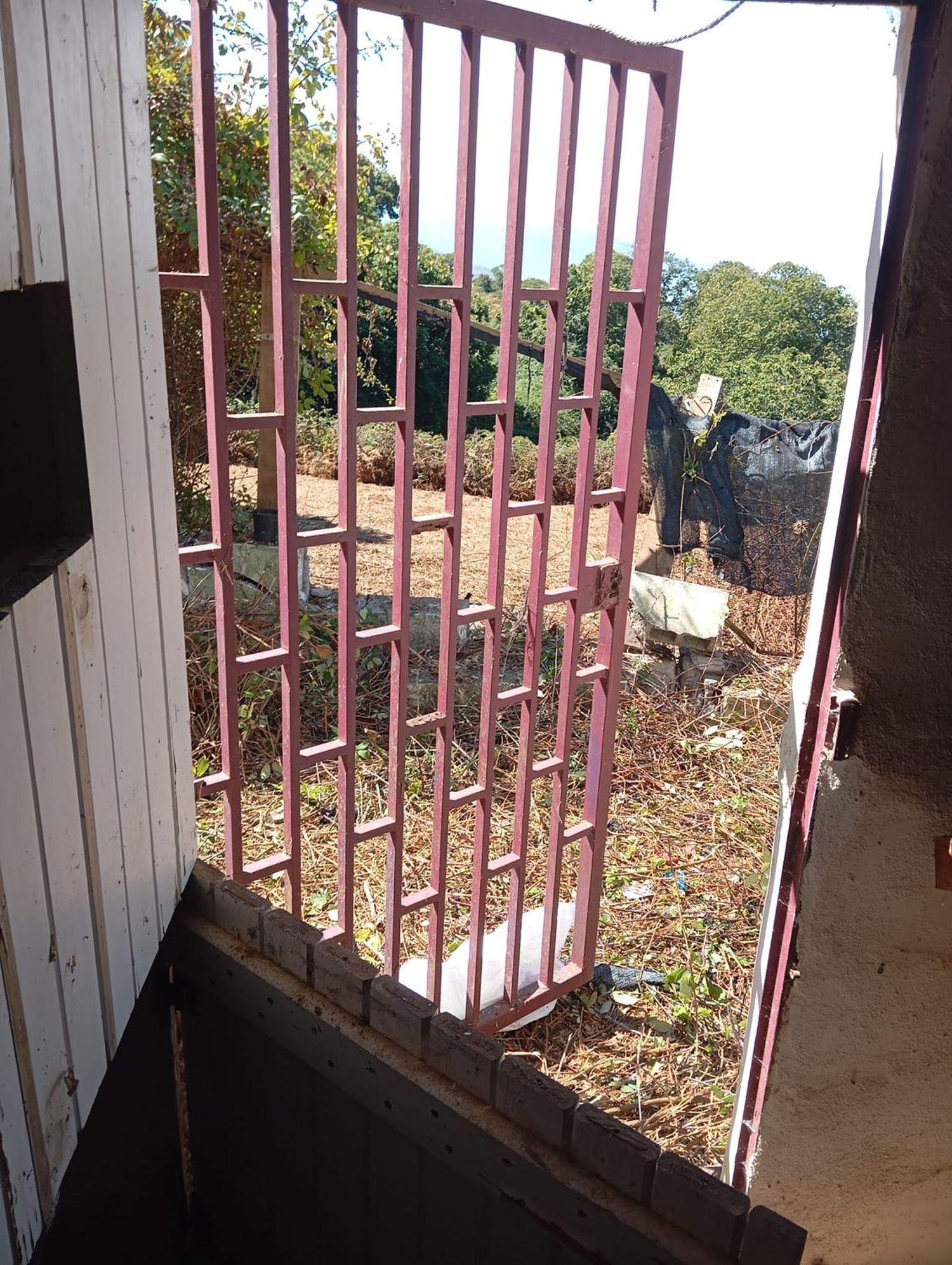 Fincas y solares-Venta-La Matanza de Acentejo-1975265-Foto-5