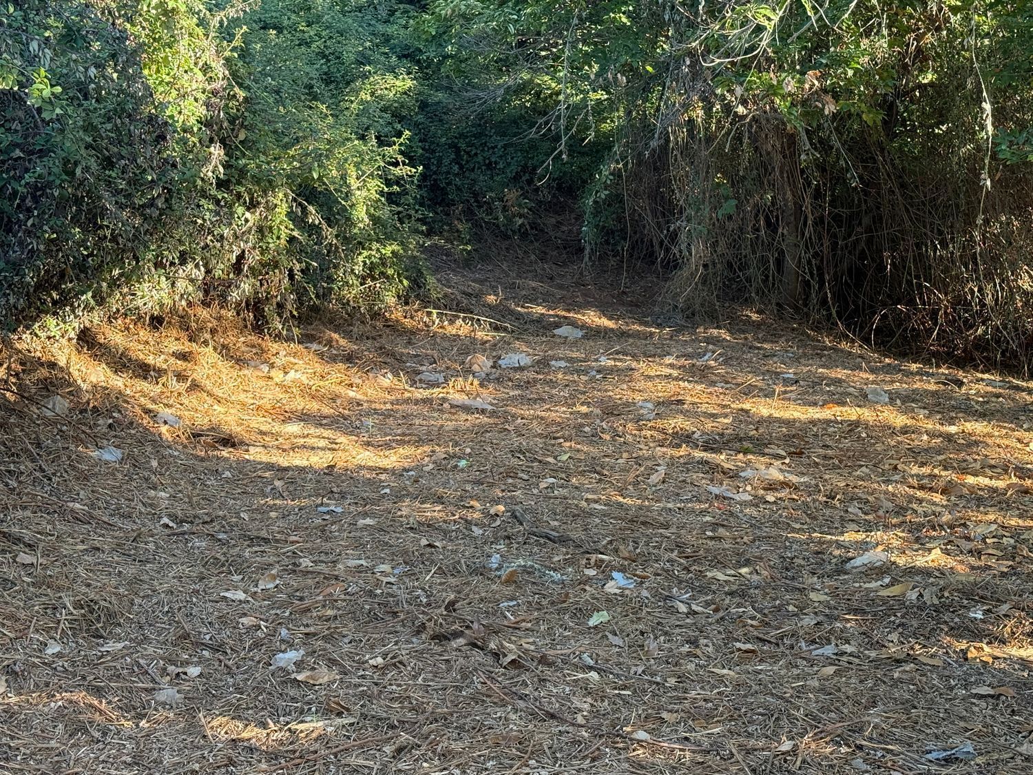 Fincas y solares-Venta-La Matanza de Acentejo-1975265-Foto-8