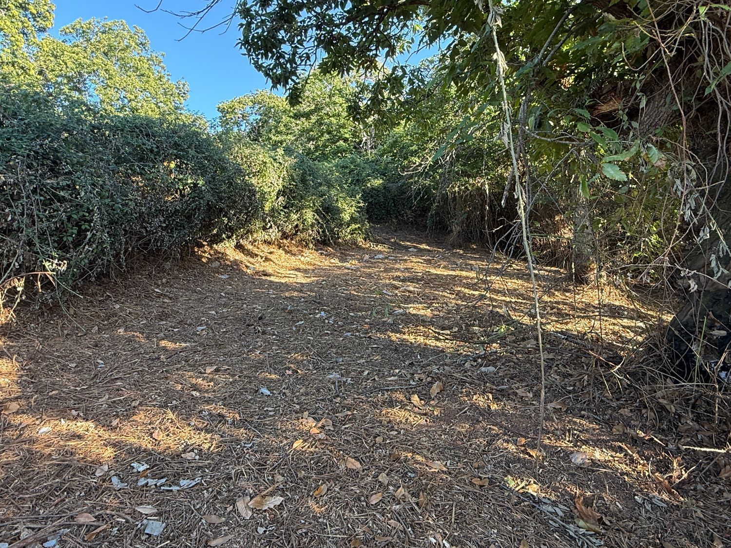 Fincas y solares-Venta-La Matanza de Acentejo-1975265-Foto-10