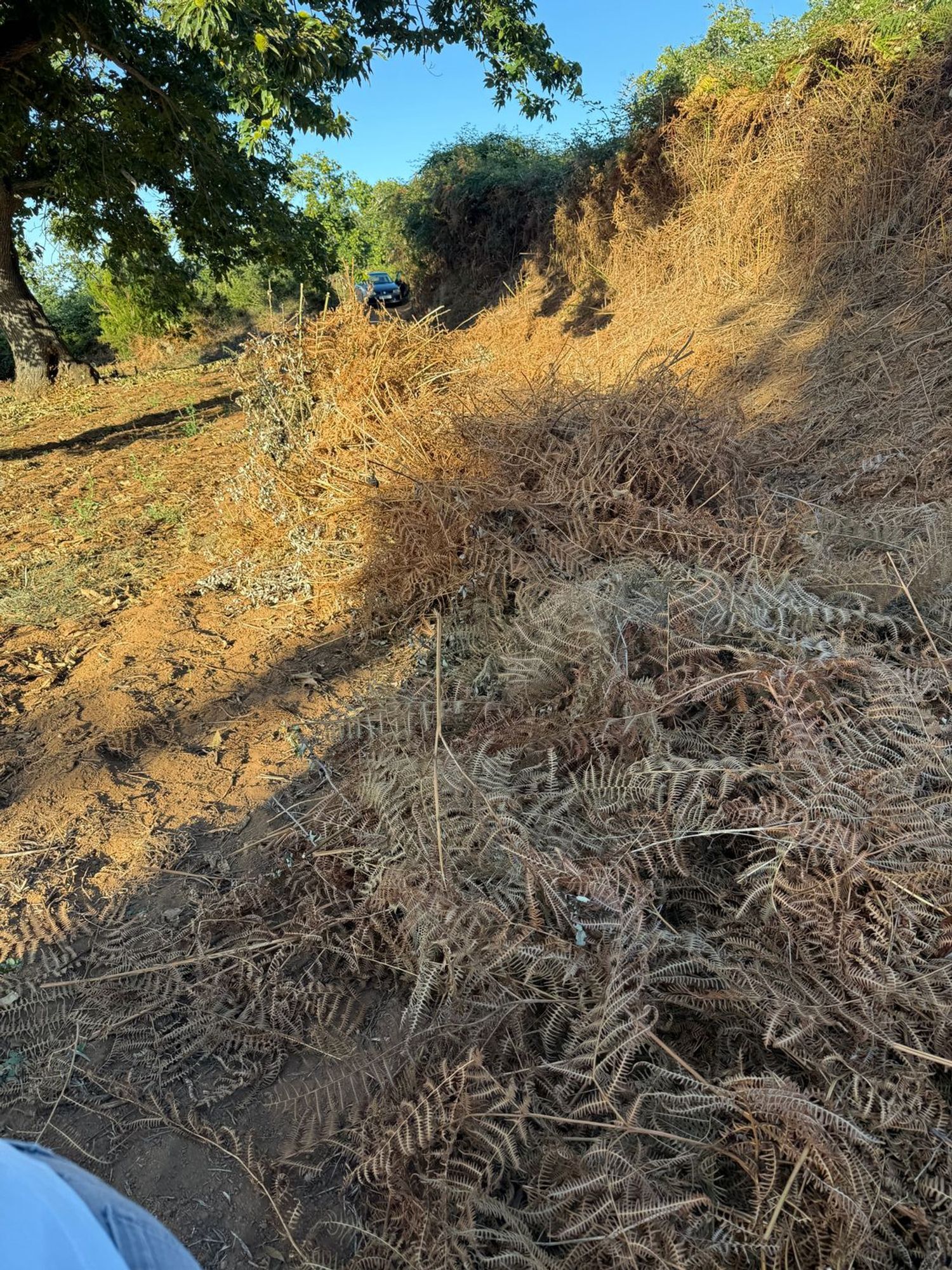 Fincas y solares-Venta-La Matanza de Acentejo-1975265-Foto-7