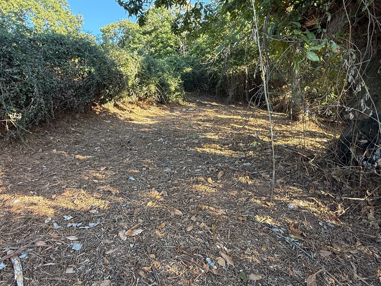 Fincas y solares-Venta-La Matanza de Acentejo-1975265-Foto-11