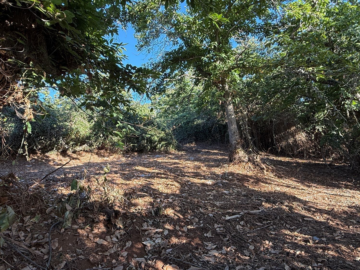 Fincas y solares-Venta-La Matanza de Acentejo-1975265-Foto-12