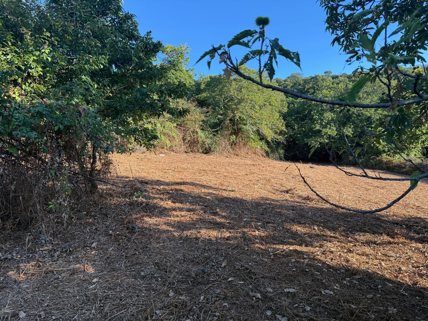 Fincas y solares-Venta-La Matanza de Acentejo-1975265-Foto-15