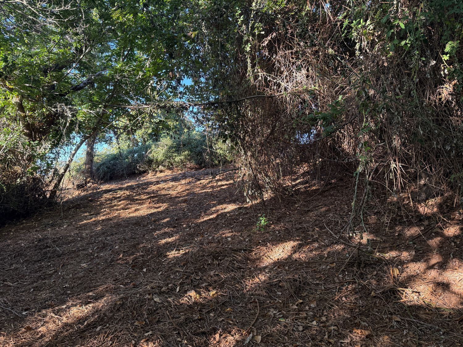 Fincas y solares-Venta-La Matanza de Acentejo-1975265-Foto-14