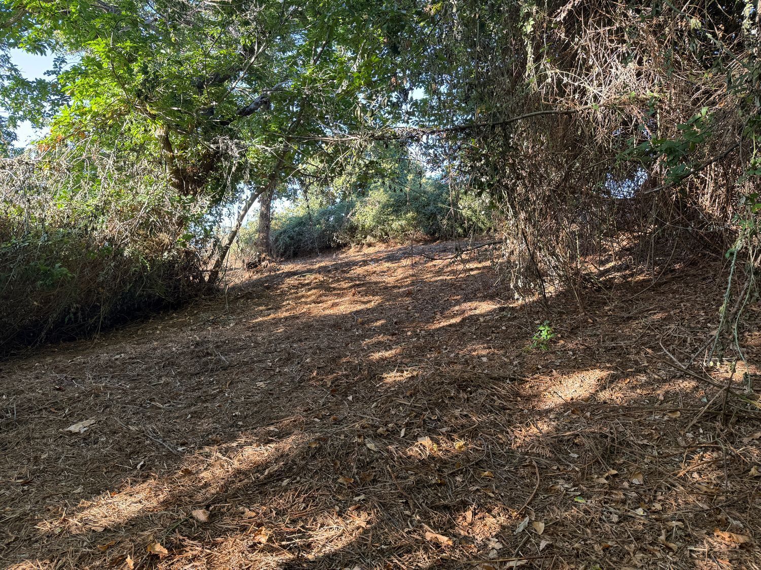 Fincas y solares-Venta-La Matanza de Acentejo-1975265-Foto-13